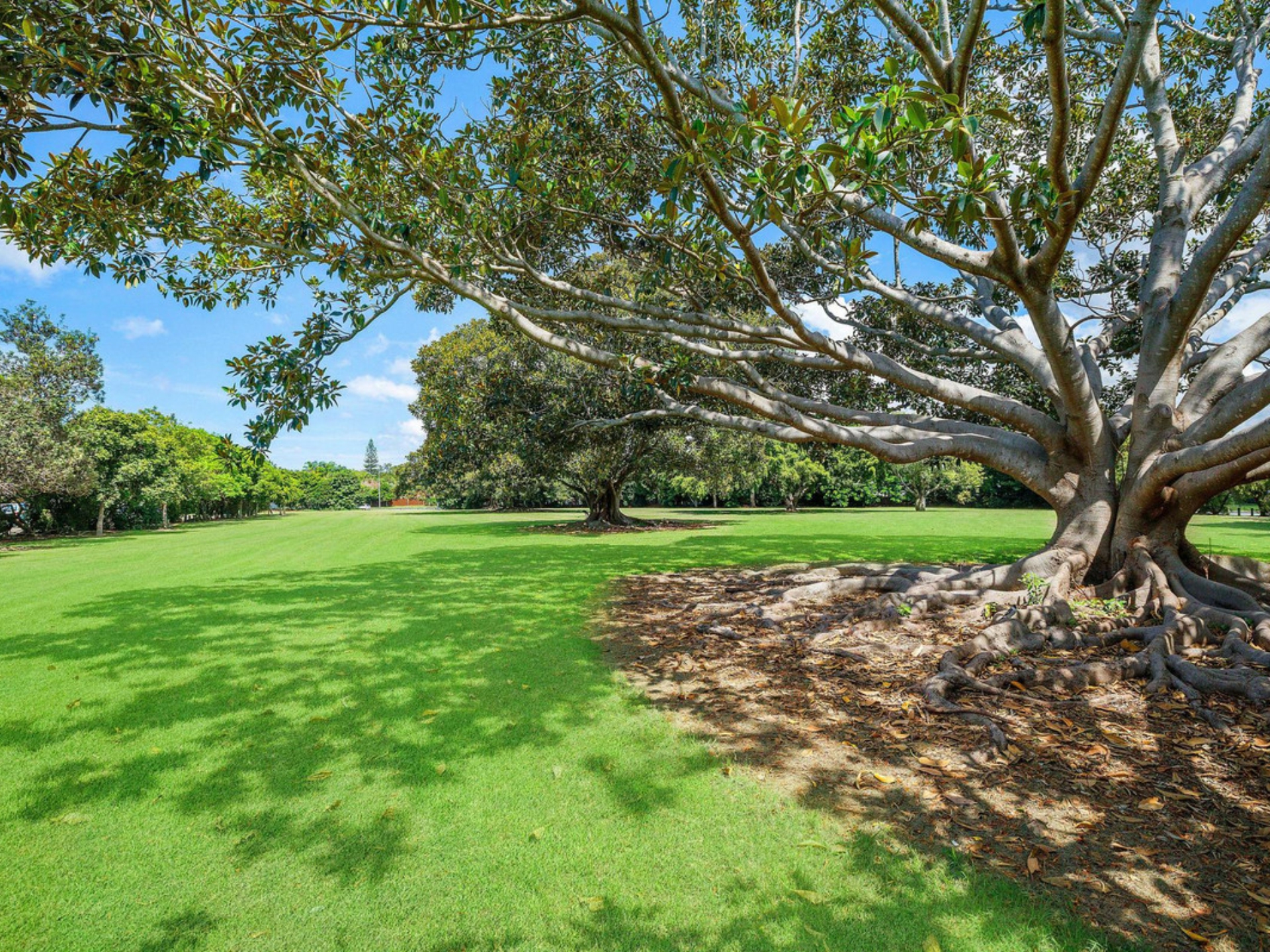 8 Wollundry Place, MERMAID WATERS