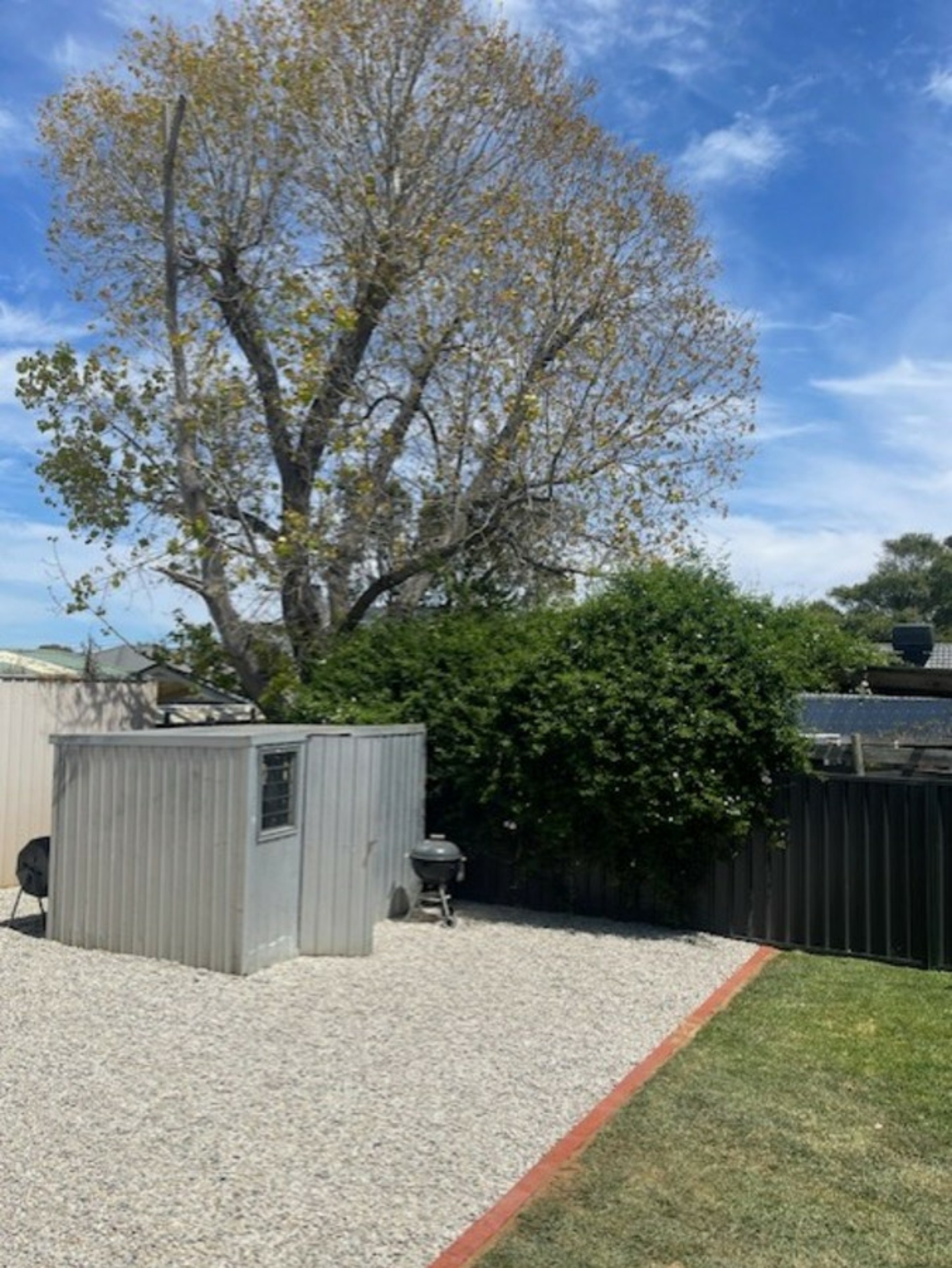 10 Adam Avenue, BELLEVUE HEIGHTS