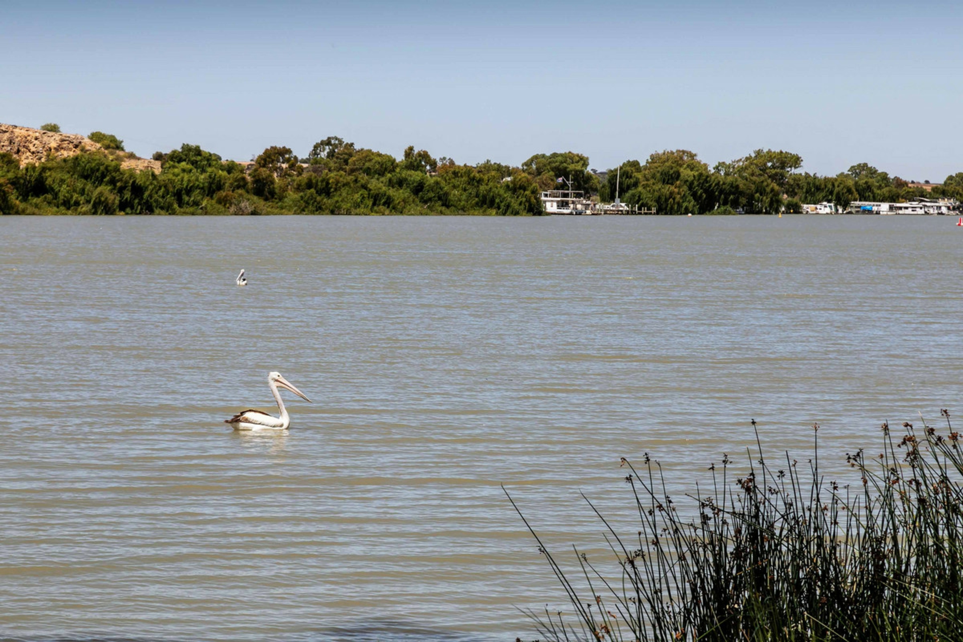 22 Nori Court, MURRAY BRIDGE