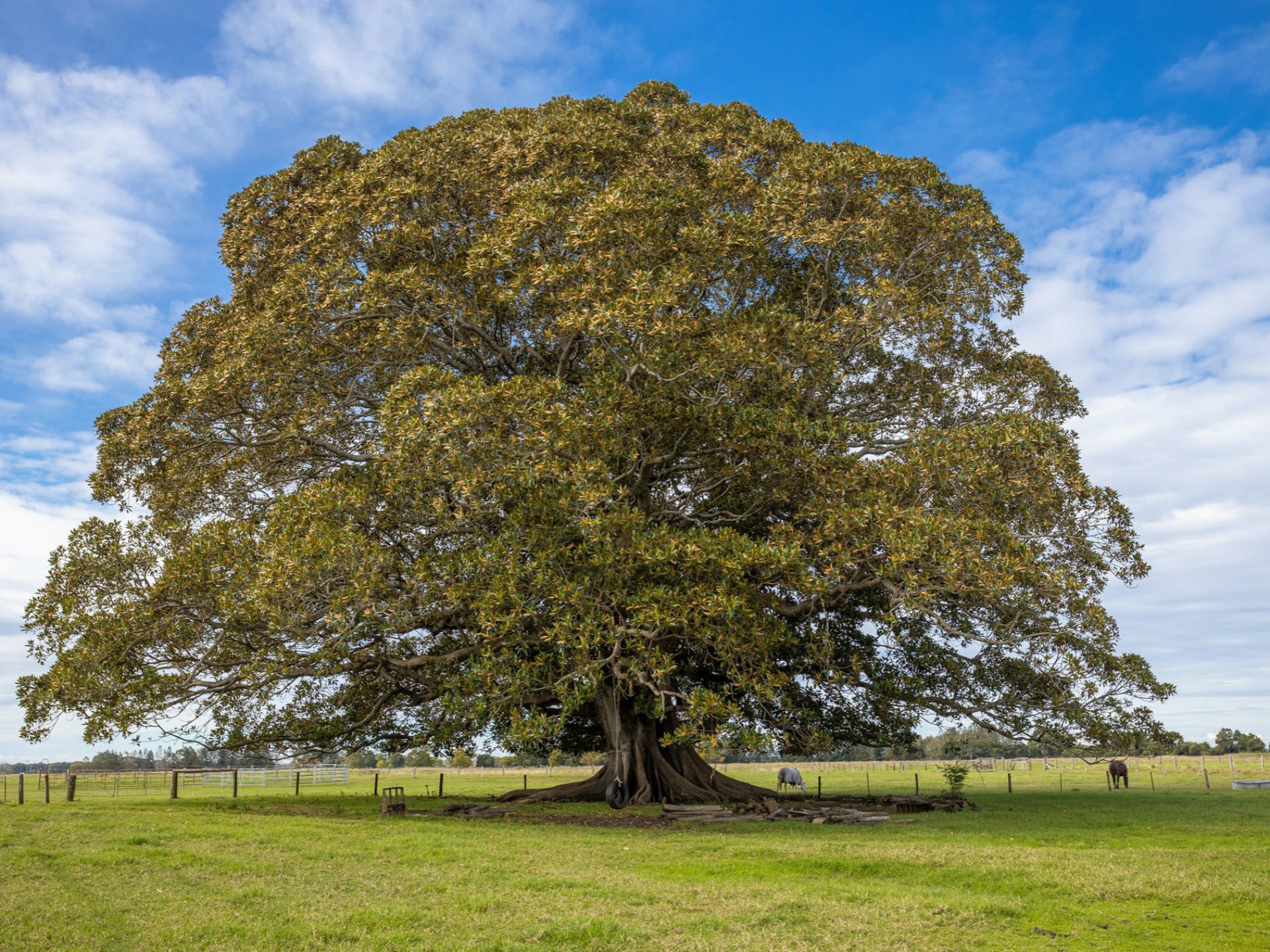 Dumaresq Island, 2430