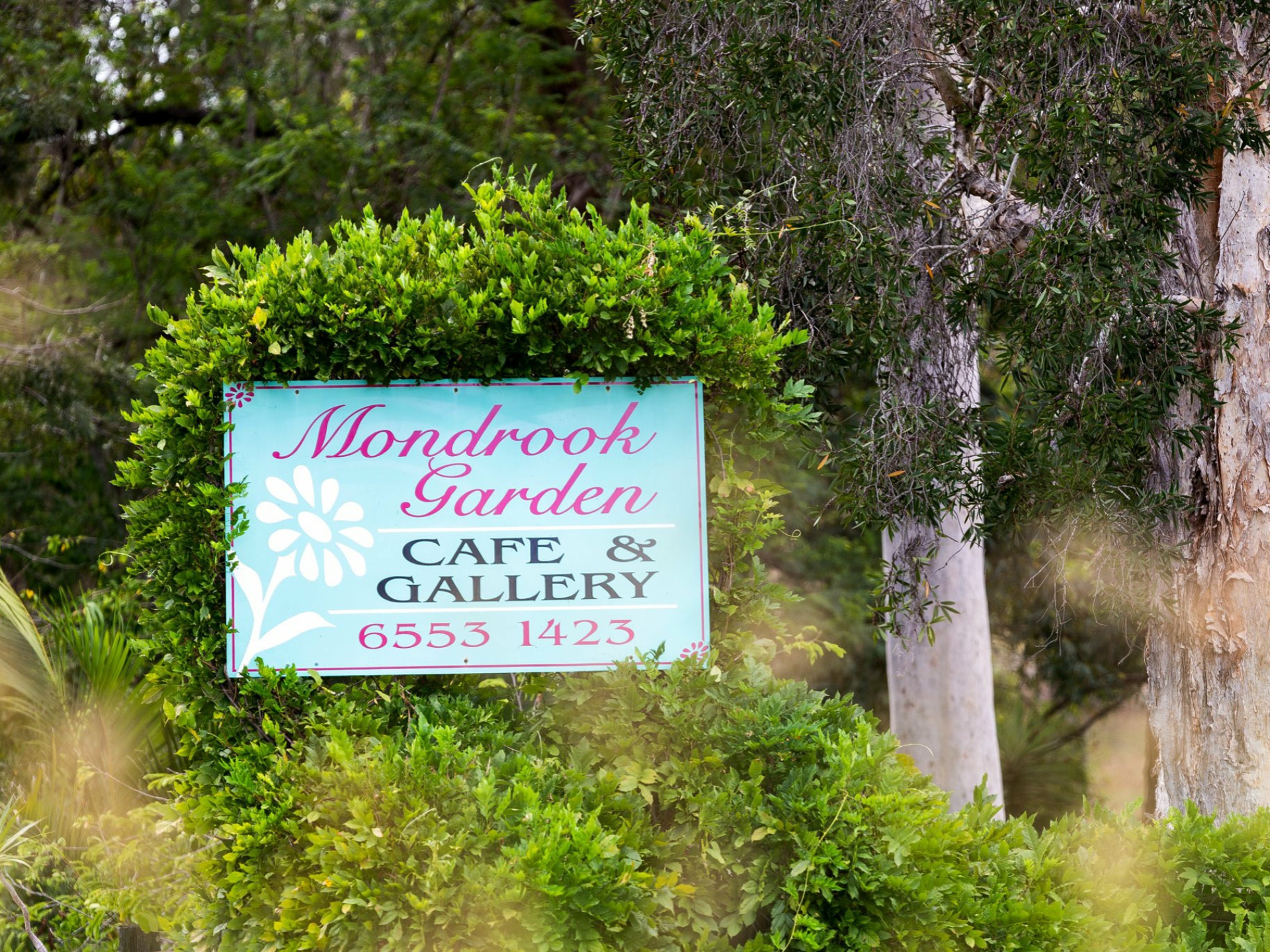 699 Tinonee Road, MONDROOK