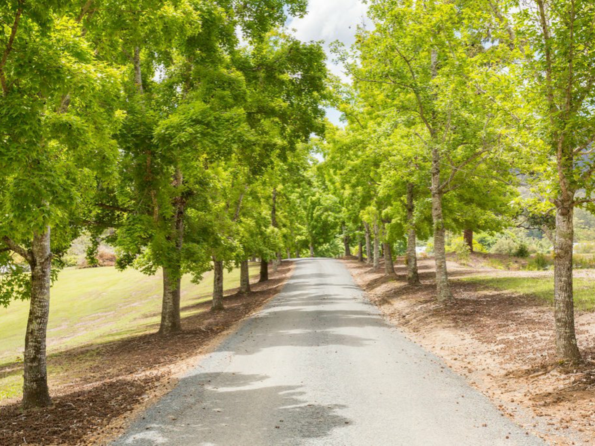 150 Coates Road, POSSUM BRUSH