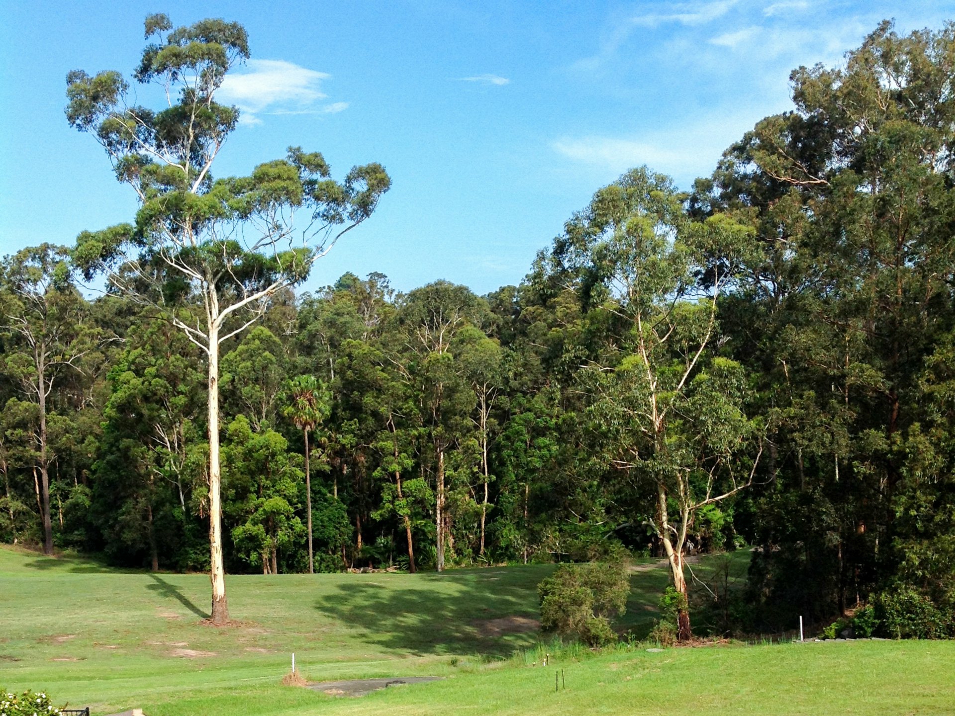 21 The Knoll Tallwoods Village NSW Residential for Sale LJ Hooker