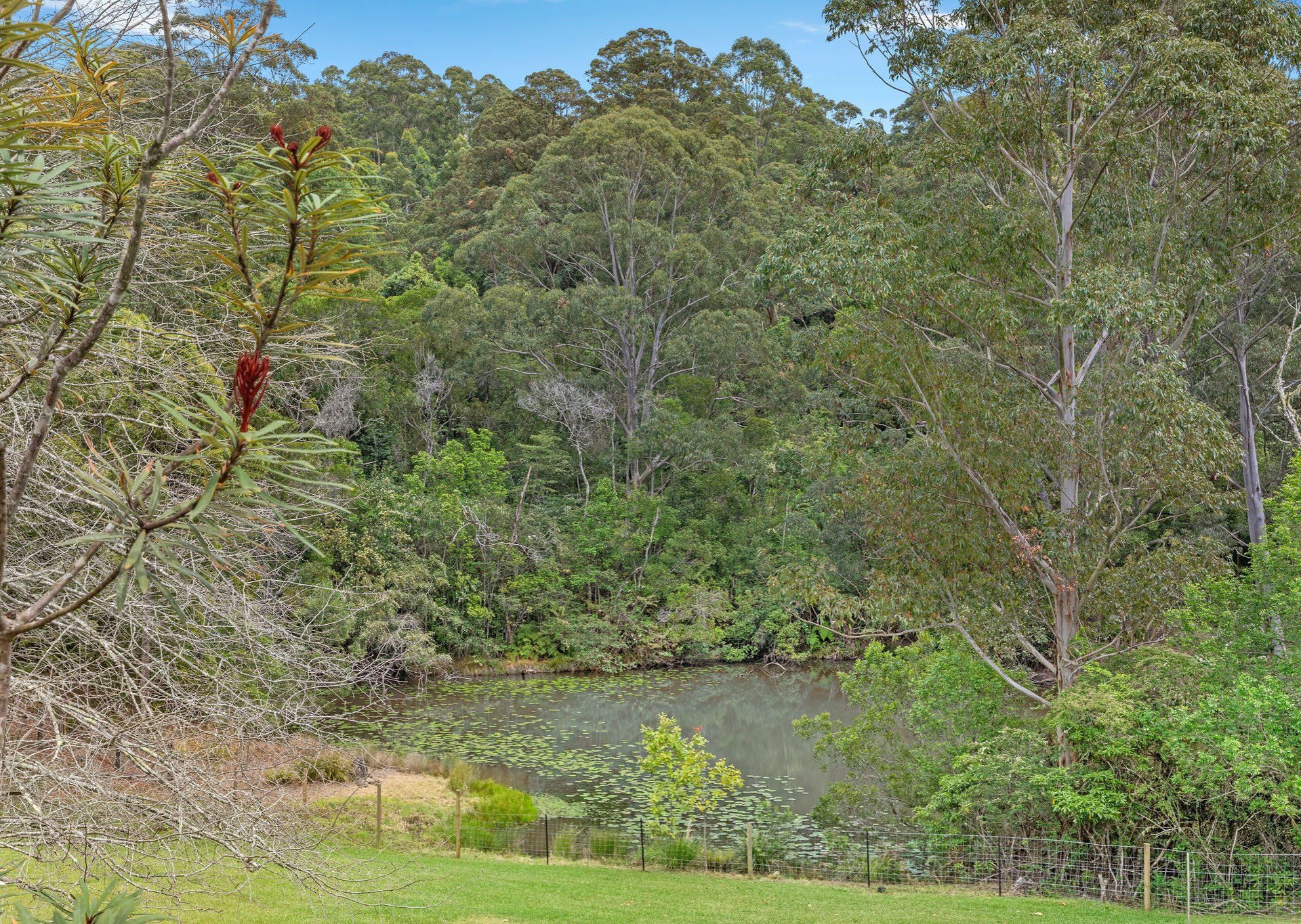 88 McCaffreys Road, HANNAM VALE