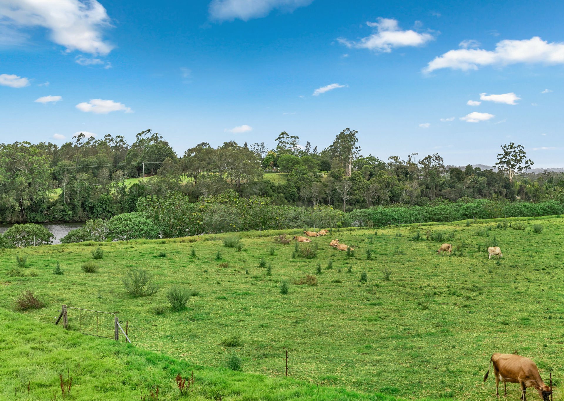 61 & 63 Dyballs Lane, TAREE