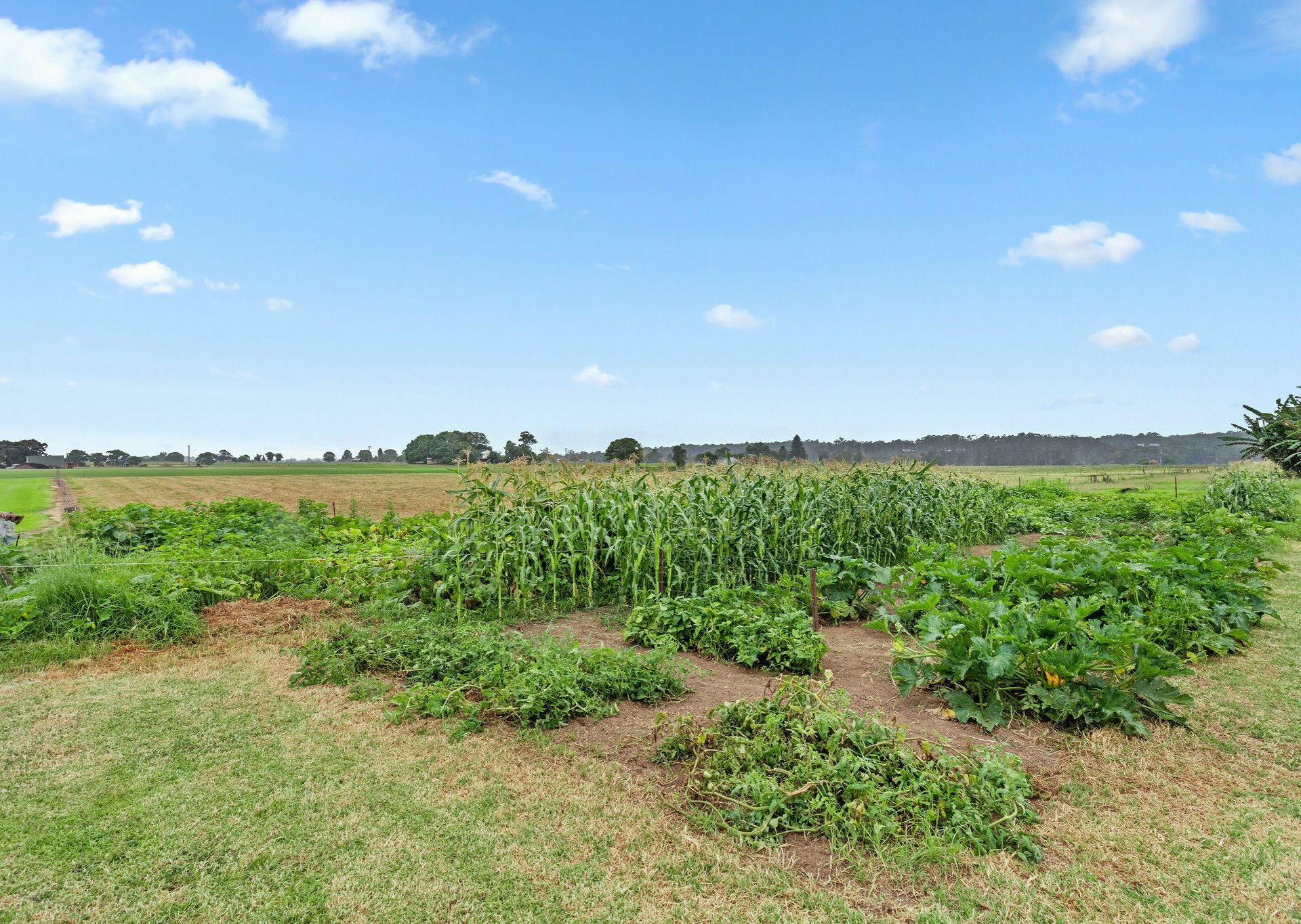 61 & 63 Dyballs Lane, TAREE
