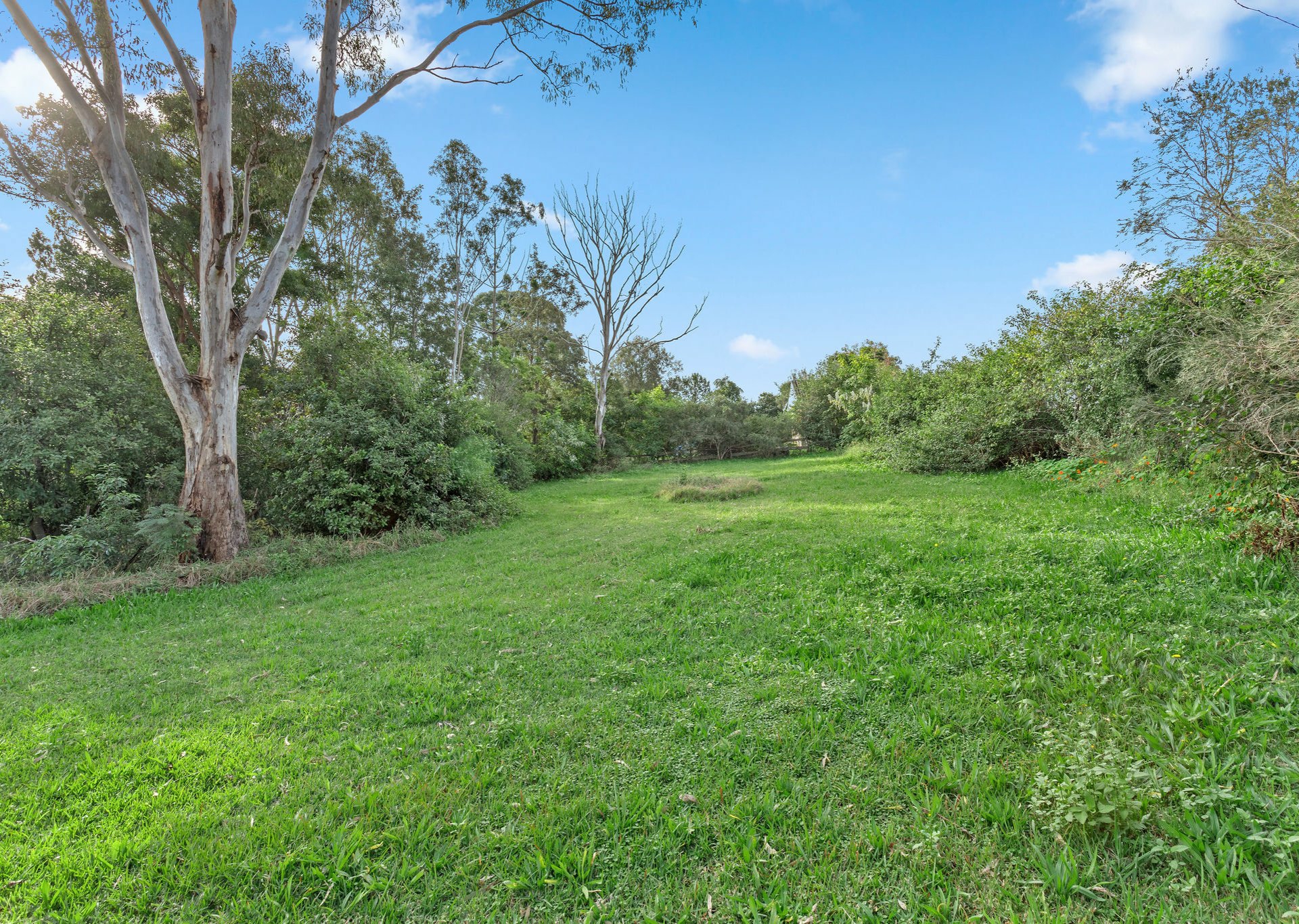 39 Peveril Street, TINONEE