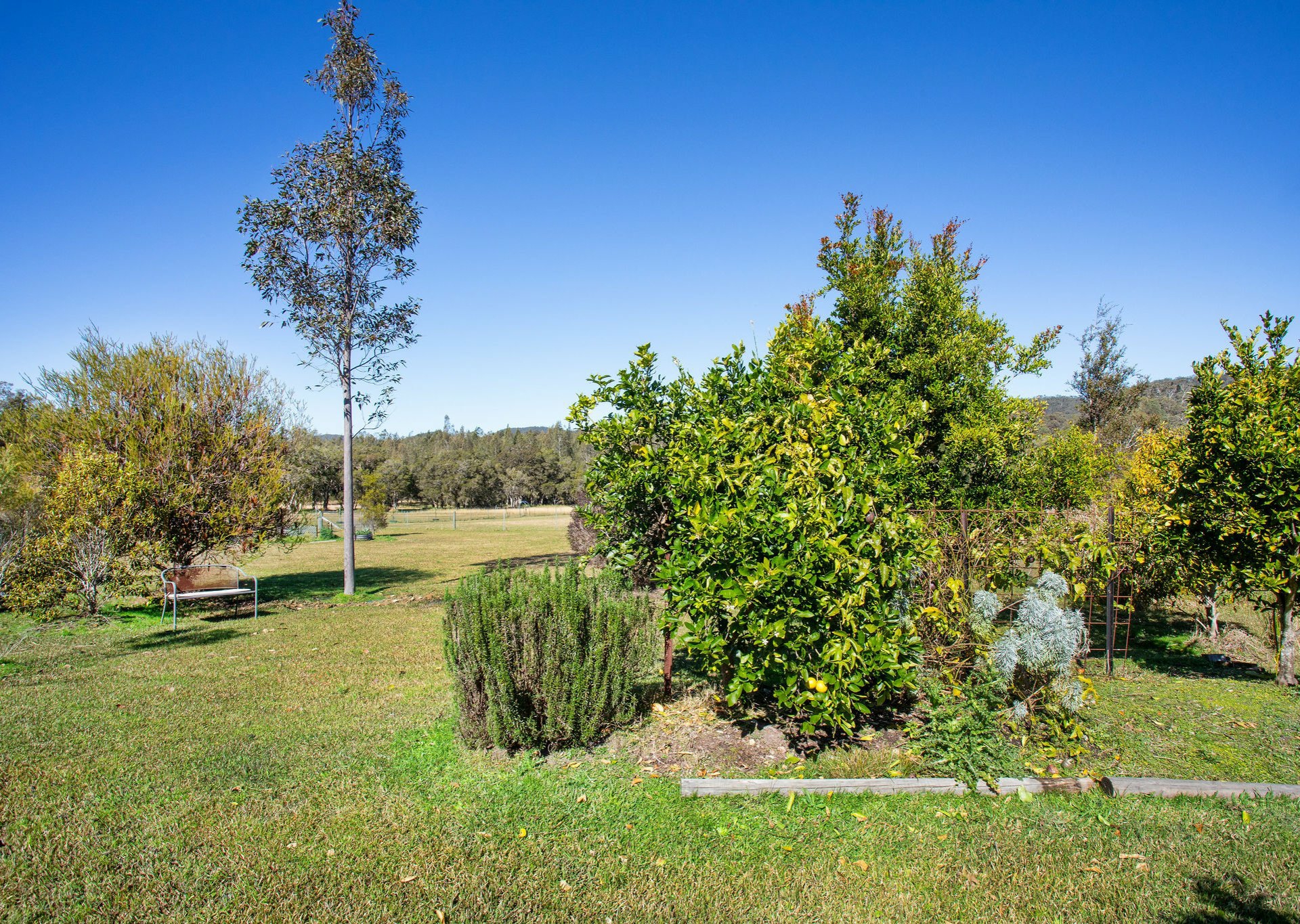 102 Melaleuca Drive, Coolongolook