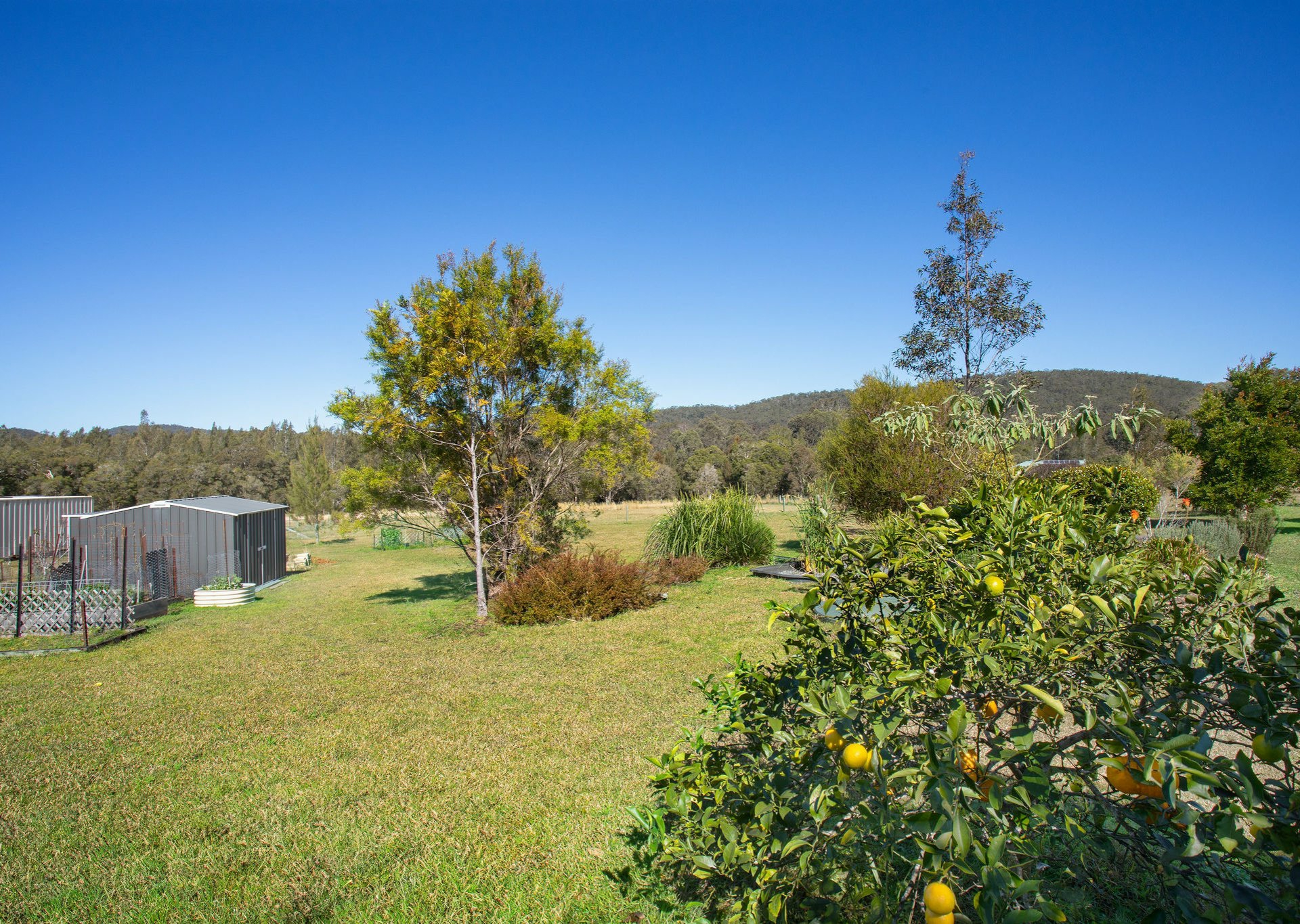 102 Melaleuca Drive, Coolongolook