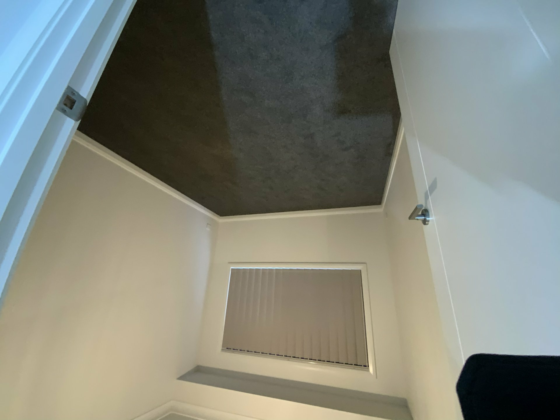 49 Eighth Avenue, AUSTRAL