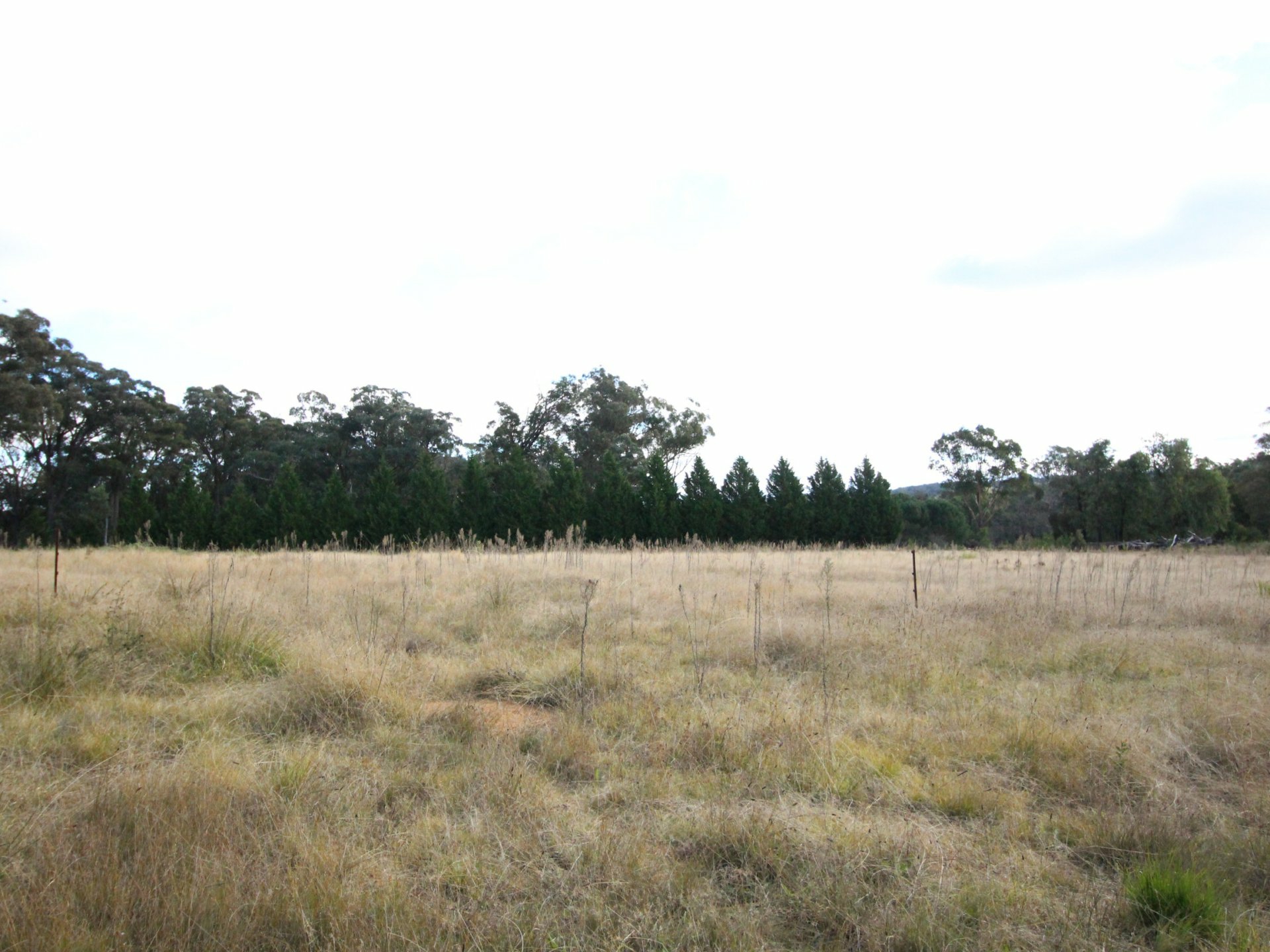 161 Tugalong Road, CANYONLEIGH
