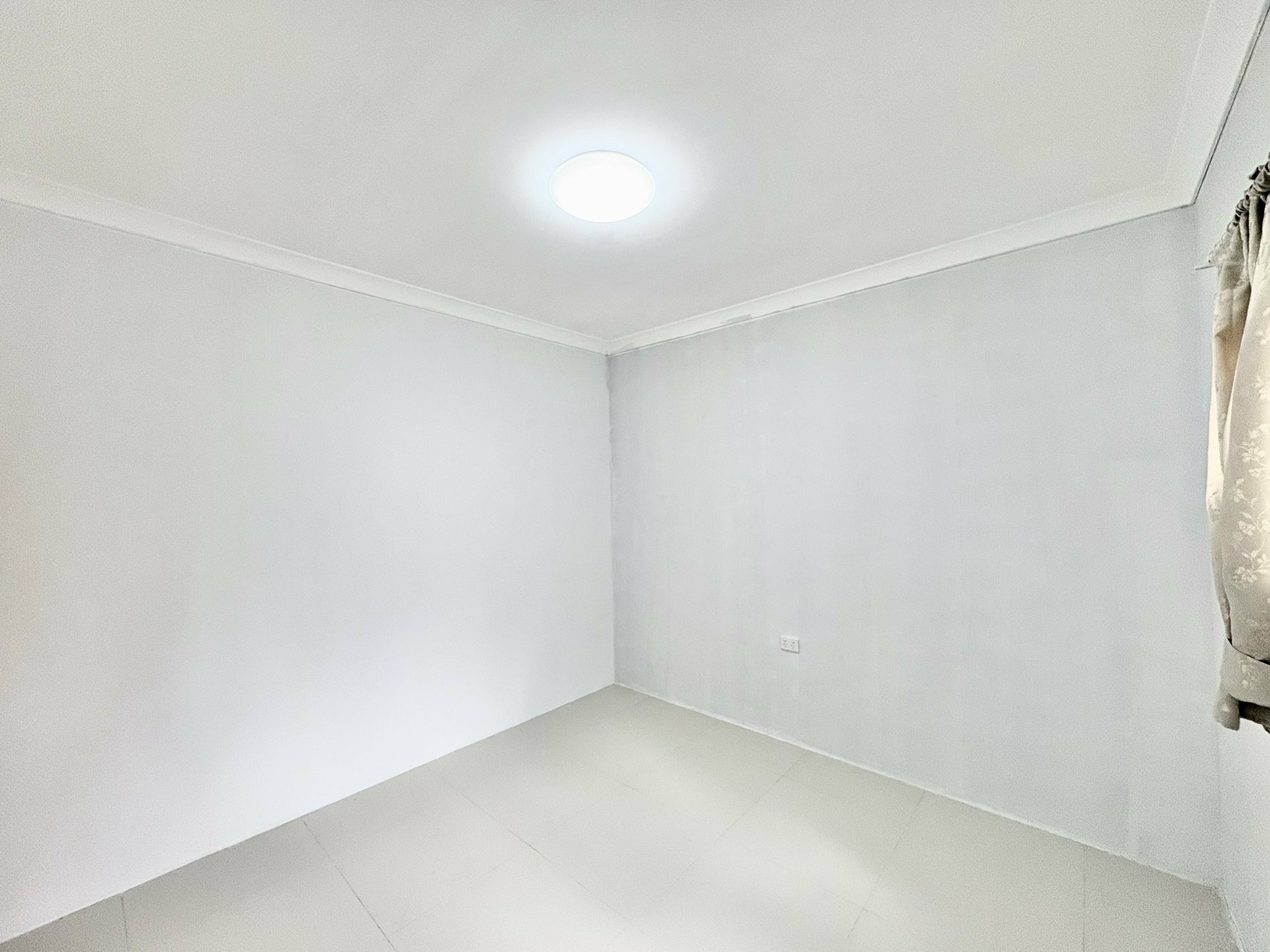 Granny Flat 51 Watkin Street — photo 3 of 6