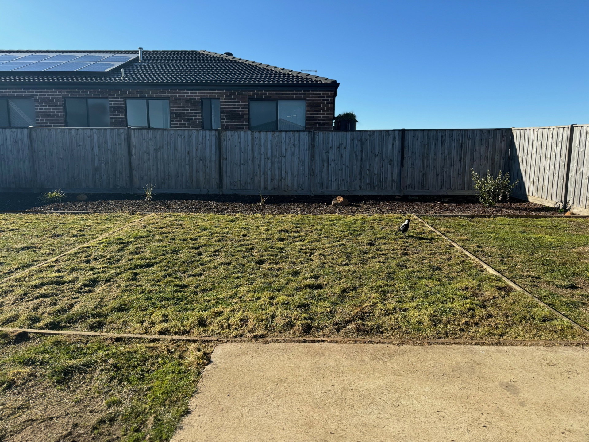 49 Edmund Drive, BONSHAW