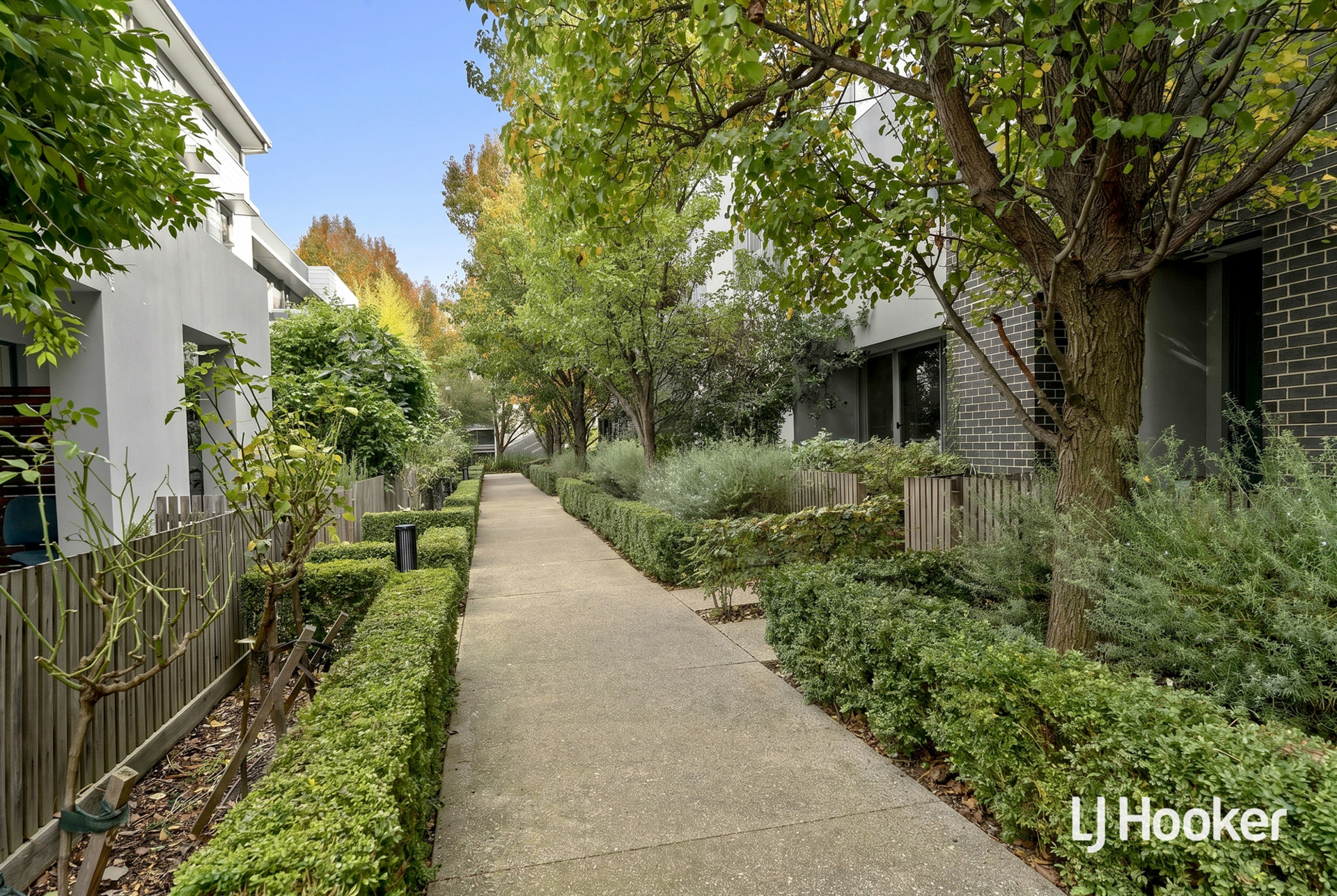 3/1 Johnston Street — photo 3 of 23