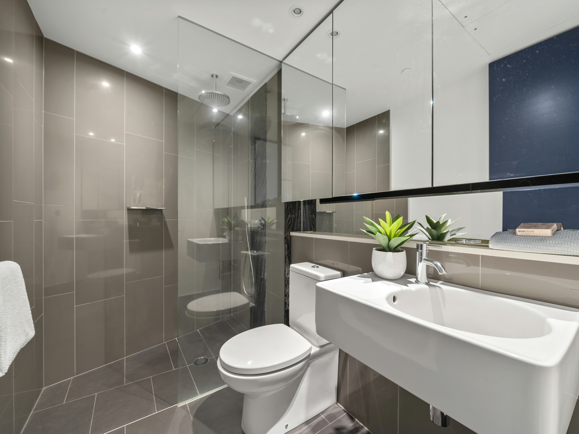 212/19 Marcus Clarke Street, ACTON