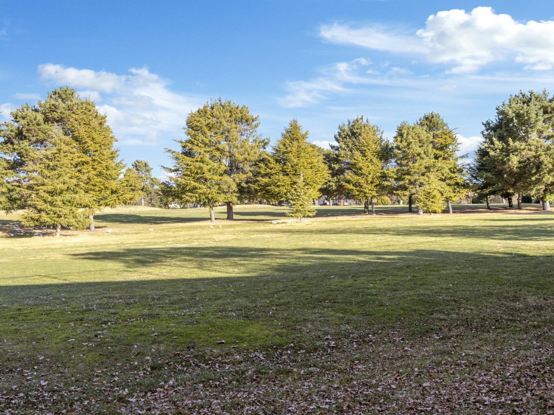 63/44 Jerrabomberra Avenue, NARRABUNDAH