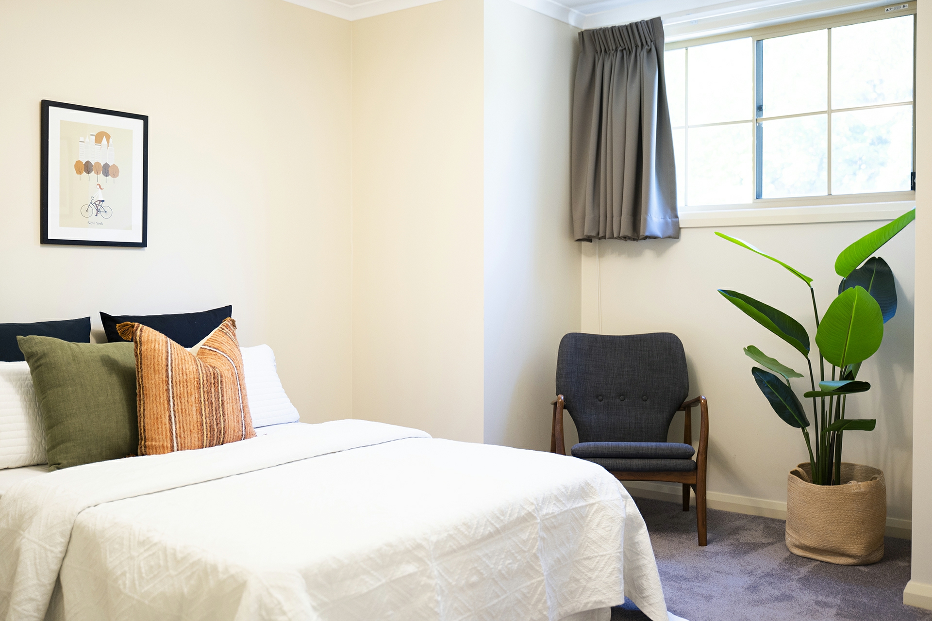 177/50 Ellenborough Street, LYNEHAM