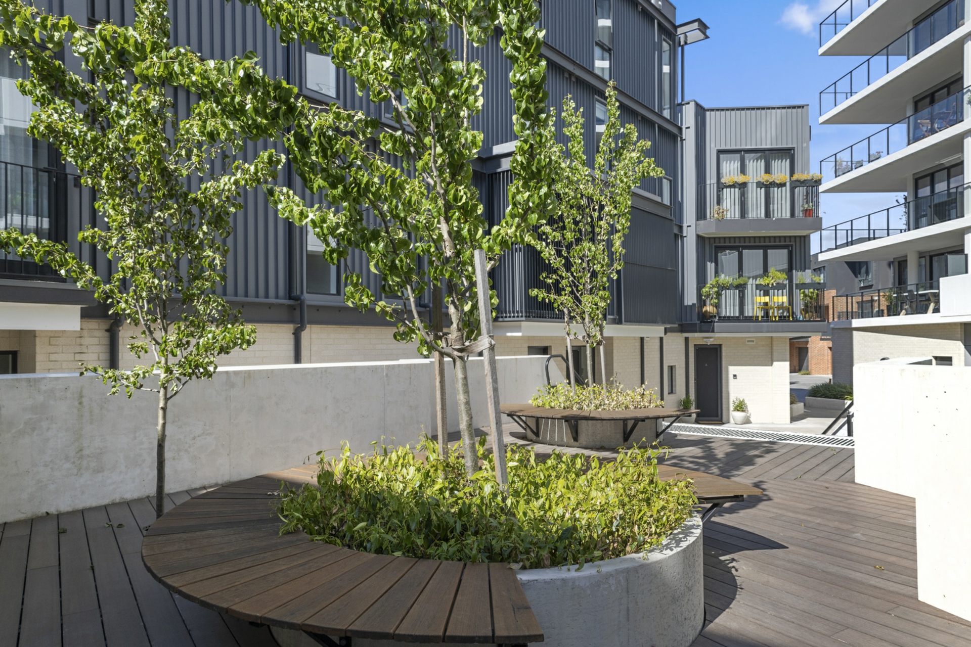 60/2 Torrens Street, BRADDON
