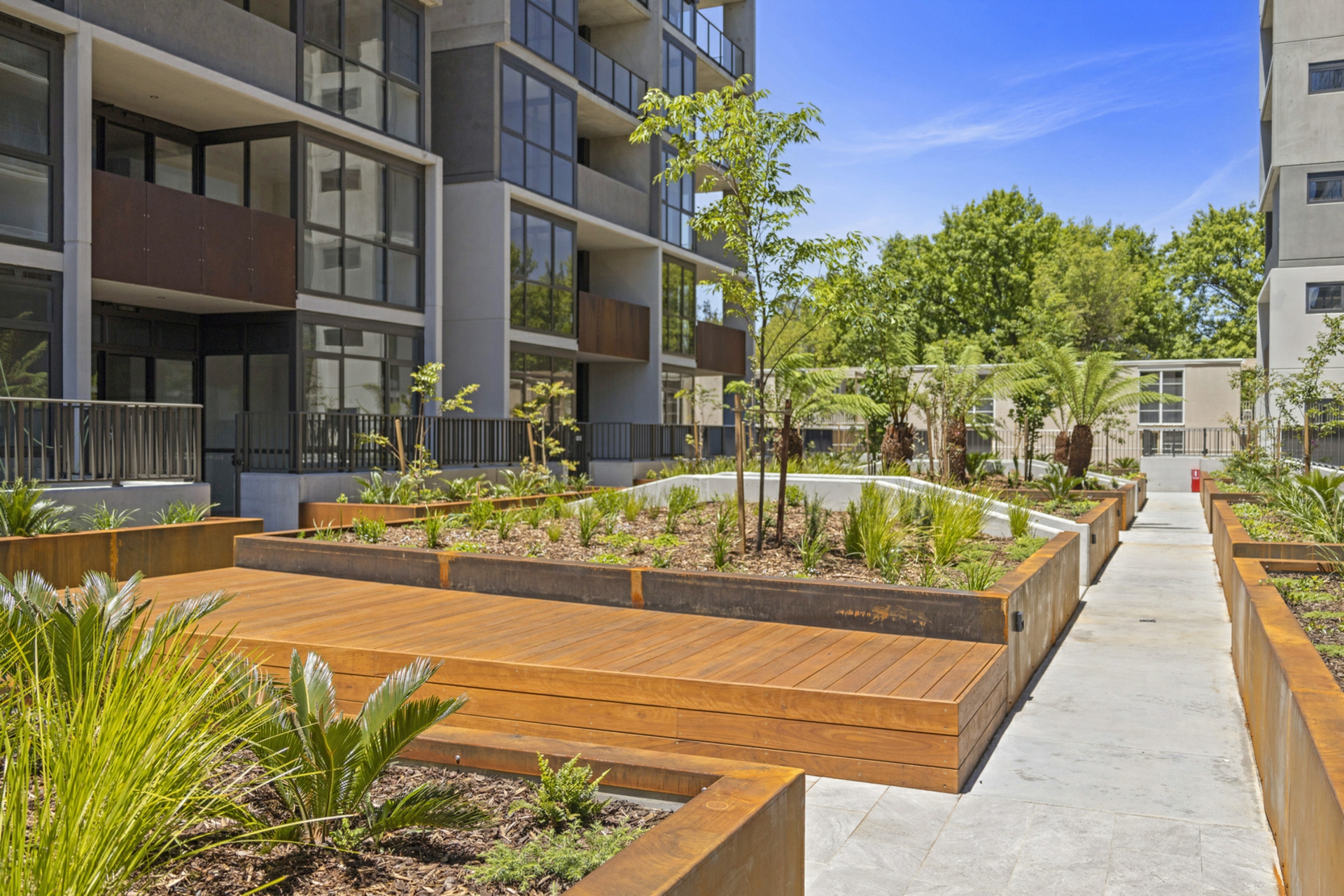 702/349 Northbourne Avenue, LYNEHAM
