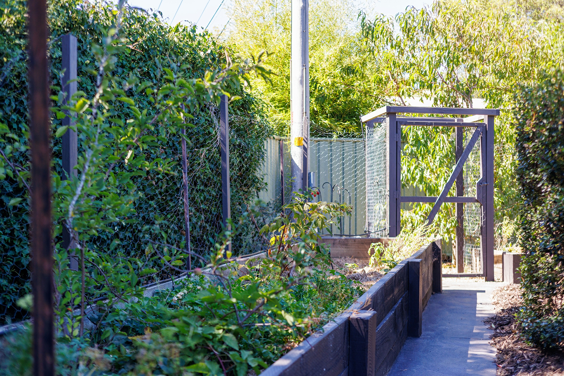 4 Parer Street, SCULLIN