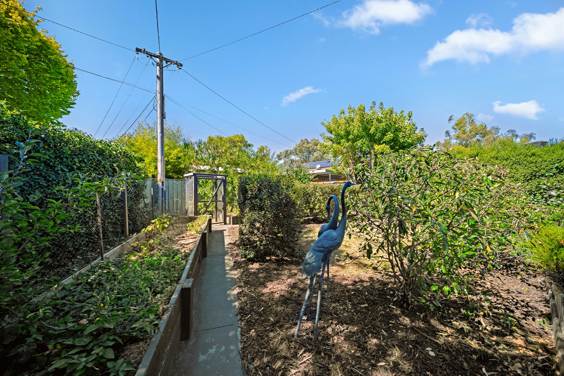 4 Parer Street, SCULLIN