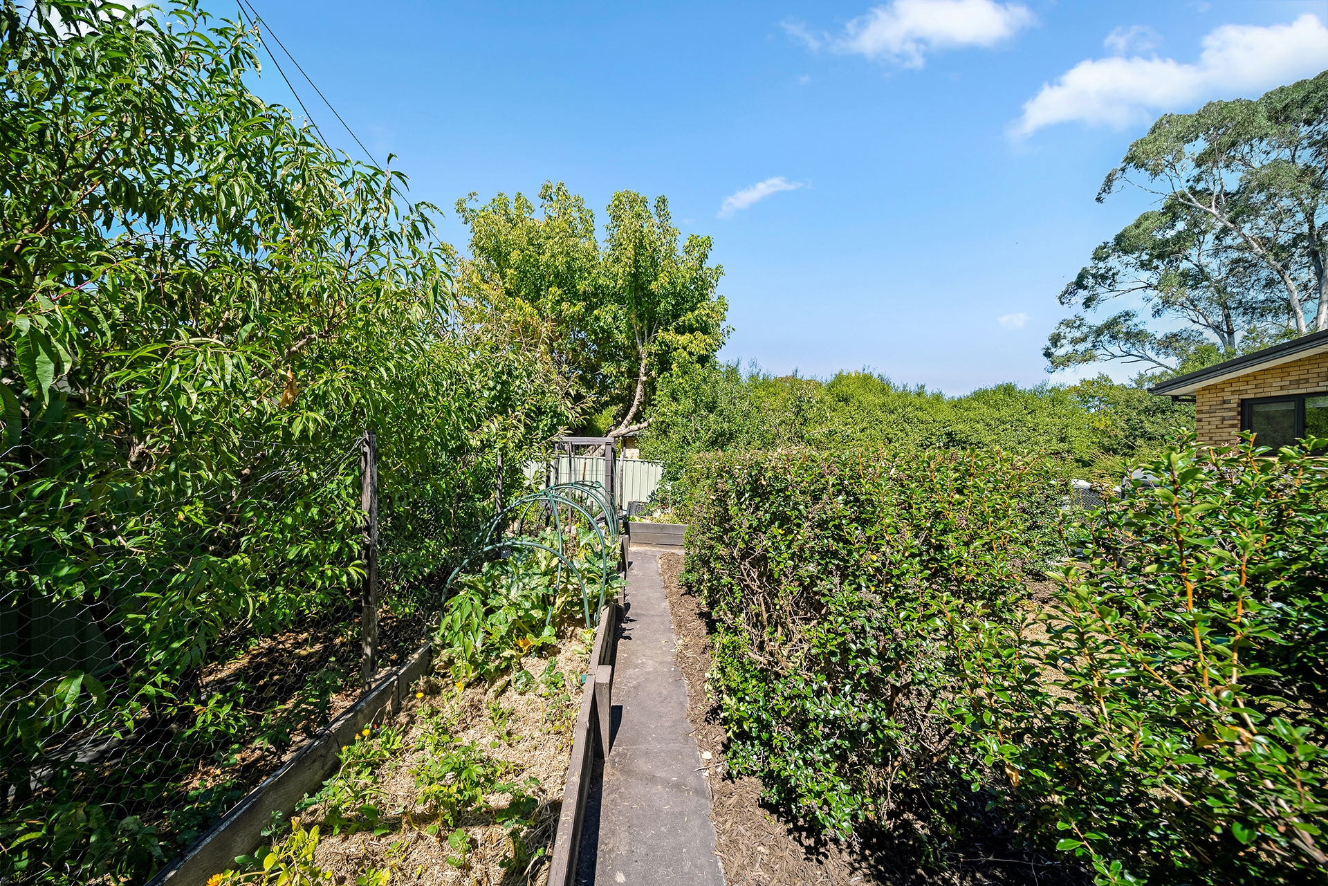 4 Parer Street, SCULLIN