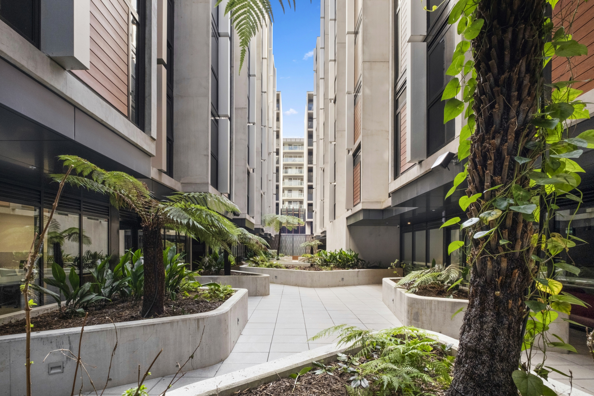 318/1 Elouera Street Braddon ACT