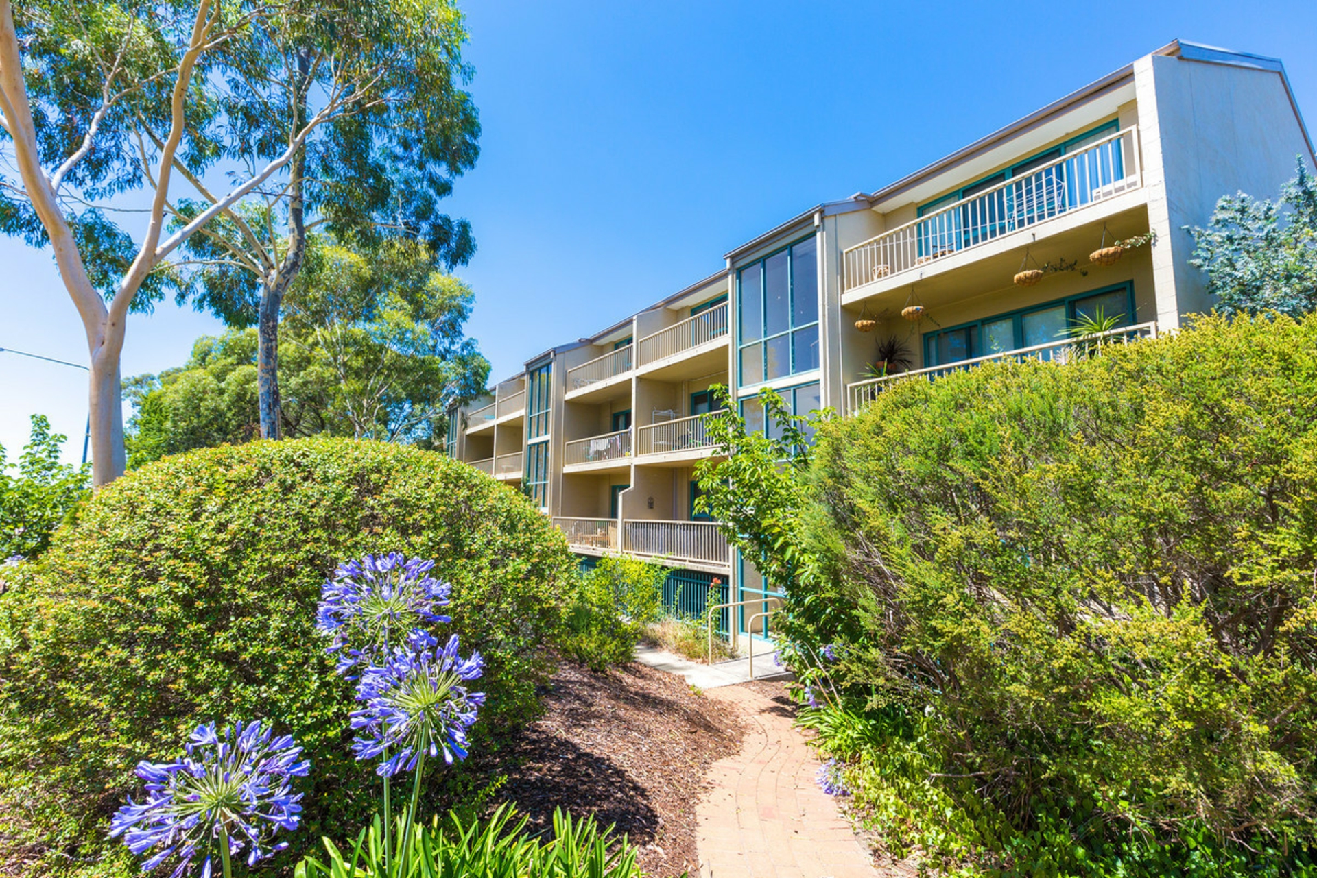 38/53 McMillan Crescent, GRIFFITH
