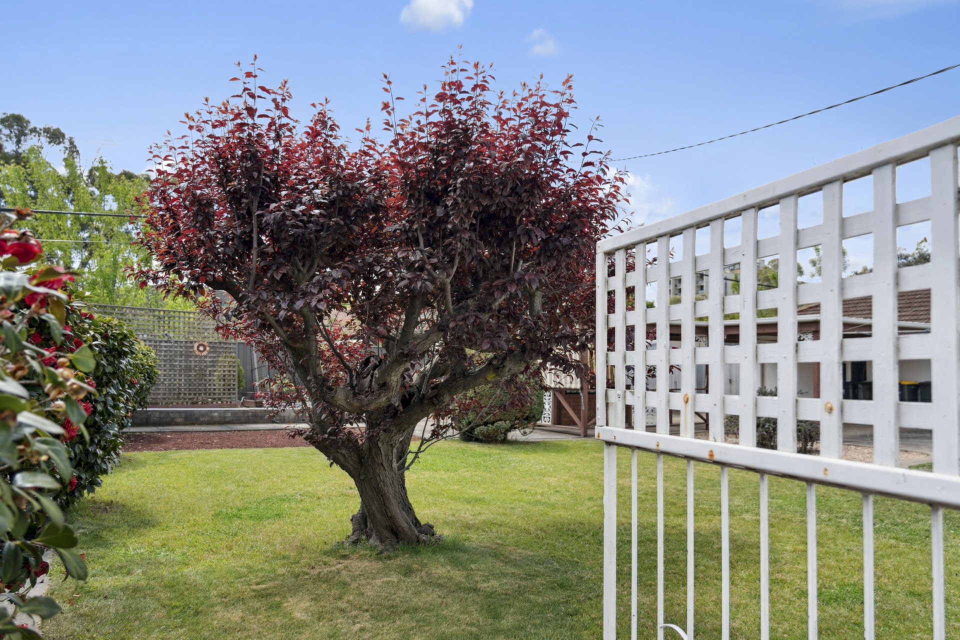 87 Macarthur Avenue, O'CONNOR