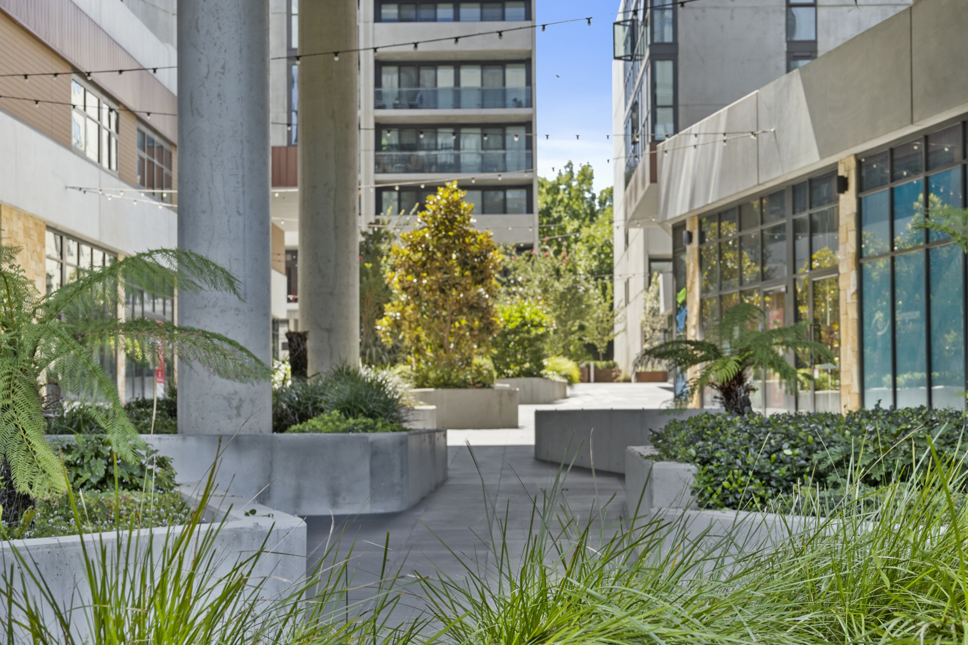 905/45 Ainslie Avenue, BRADDON