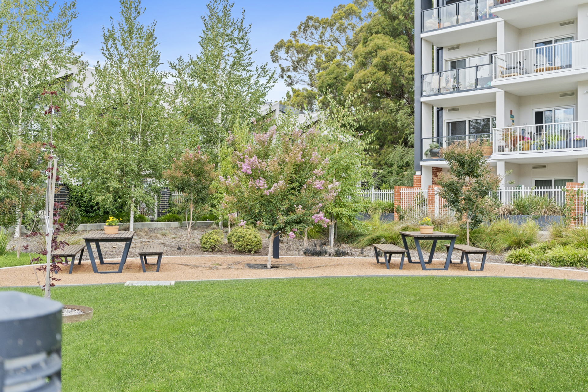 1/20 Bradfield Street, DOWNER