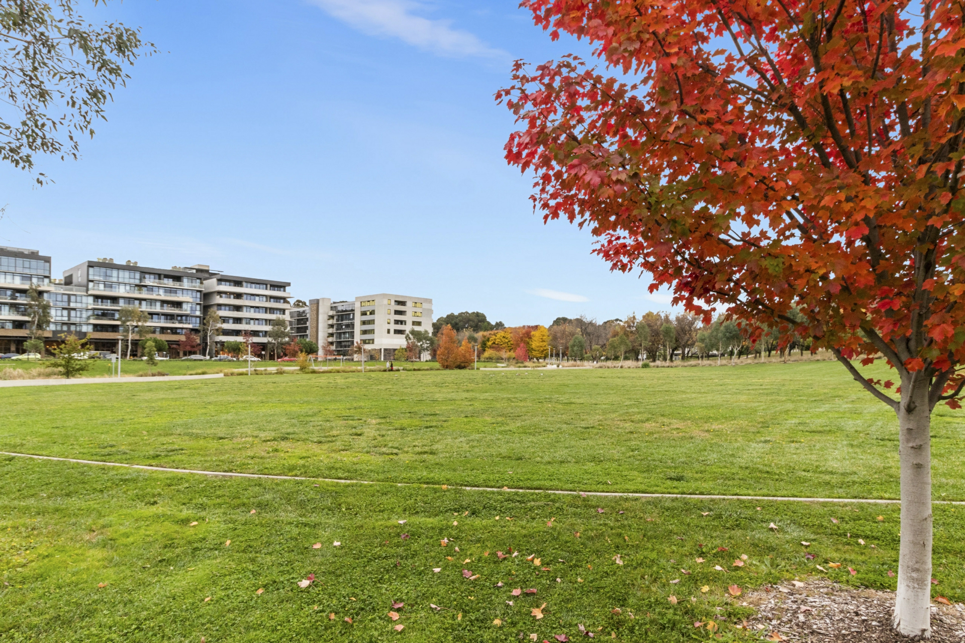 228/2 Anzac Park, Campbell