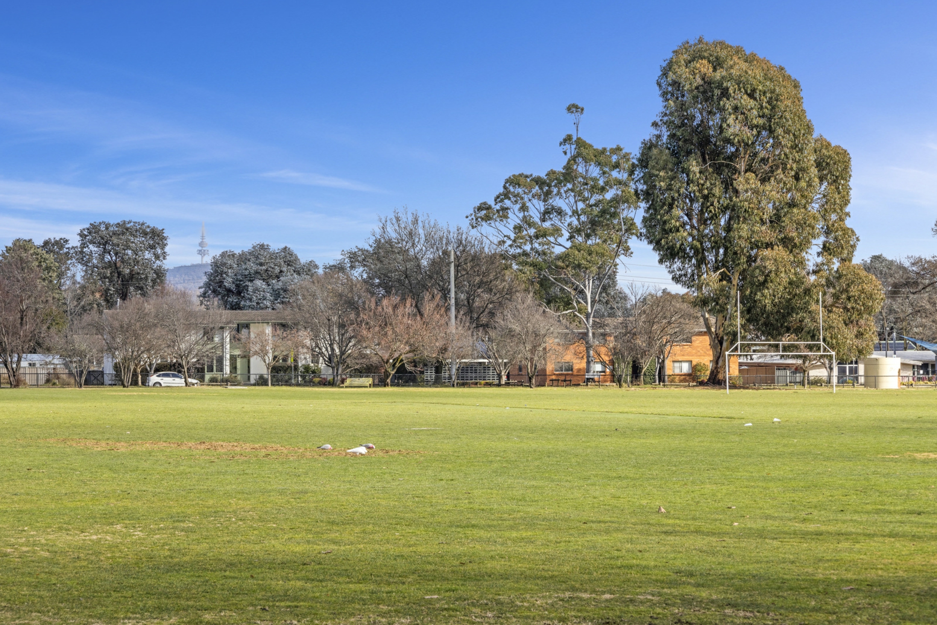 10 Dickinson Street, WATSON