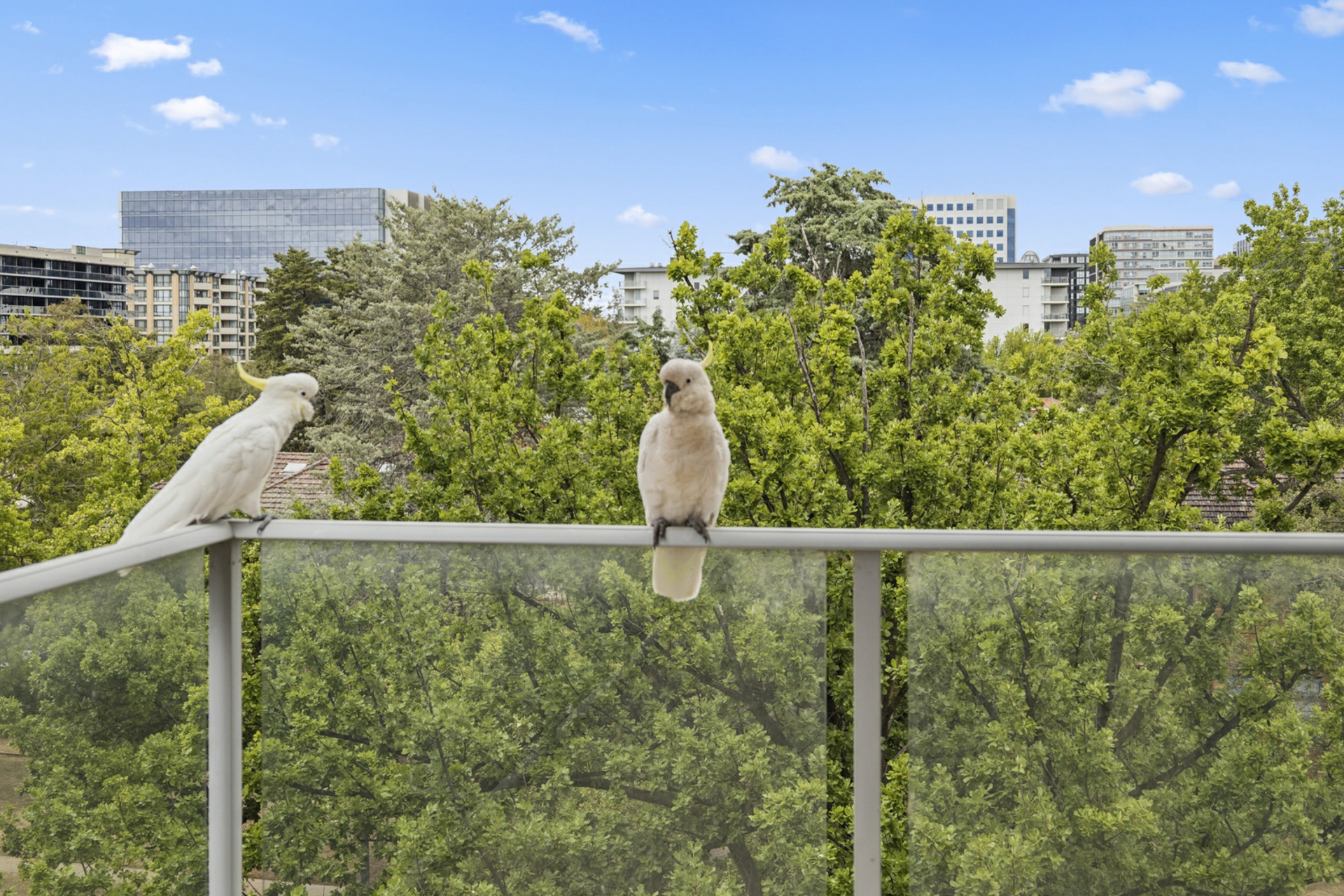26/5 Gould Street — photo 11 of 18