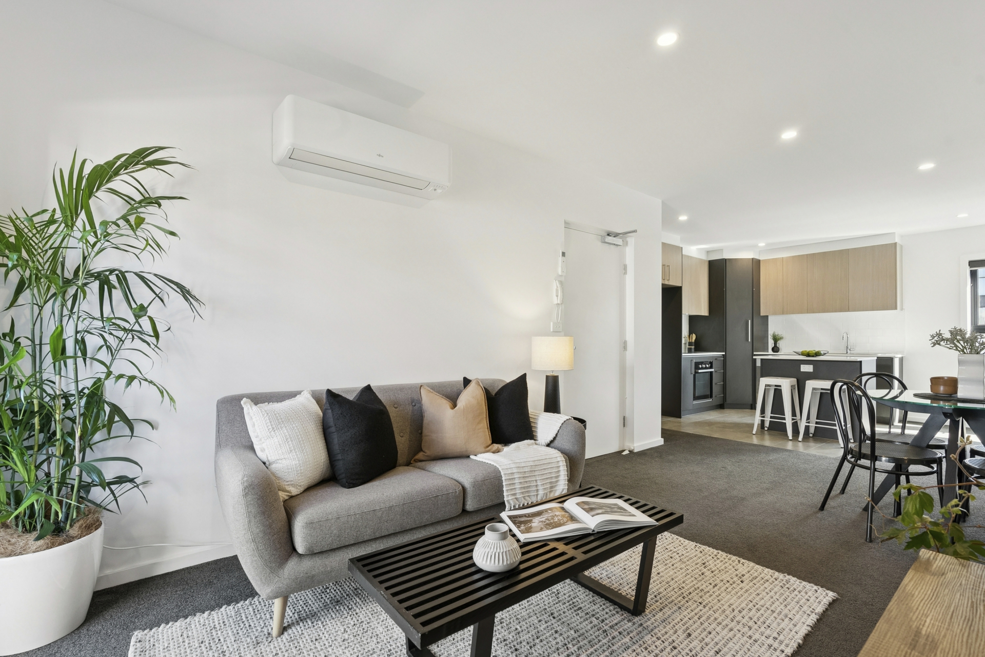 50/11 Hoolihan Street — photo 5 of 25