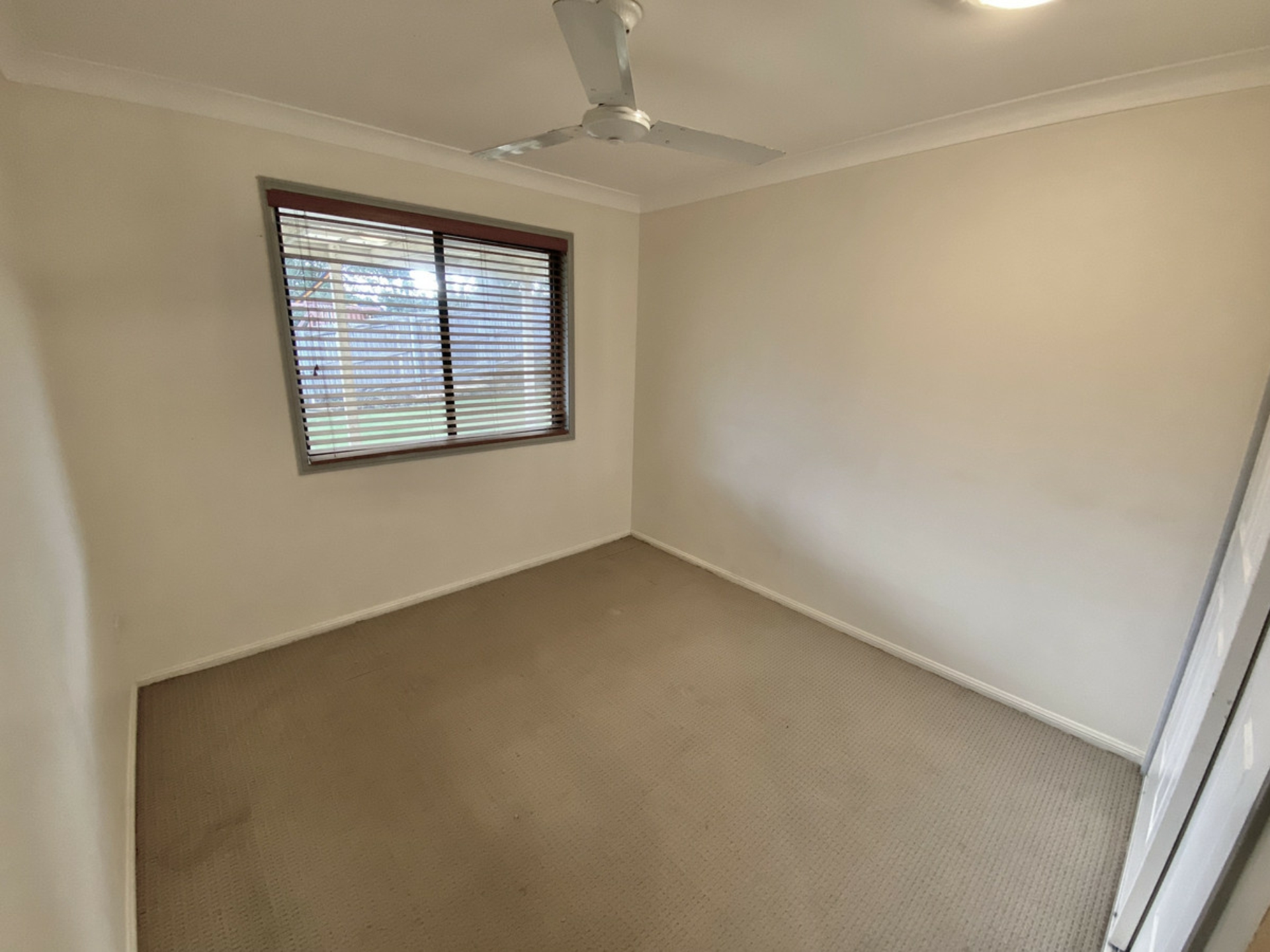 53 Jasper Street, WELLINGTON POINT