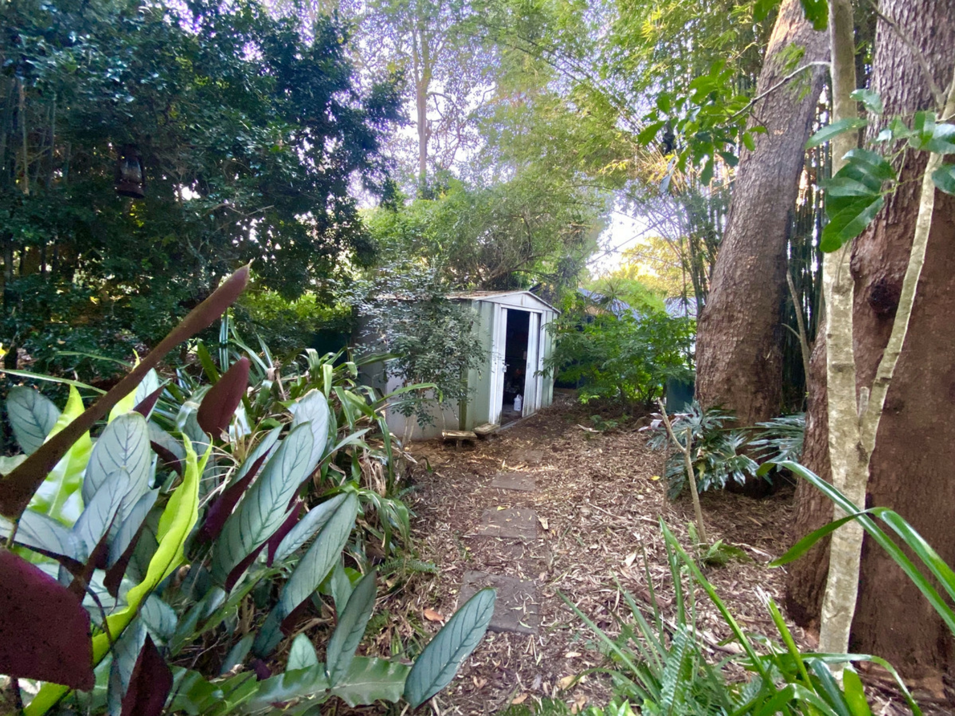 35 Banks Street, CAPALABA