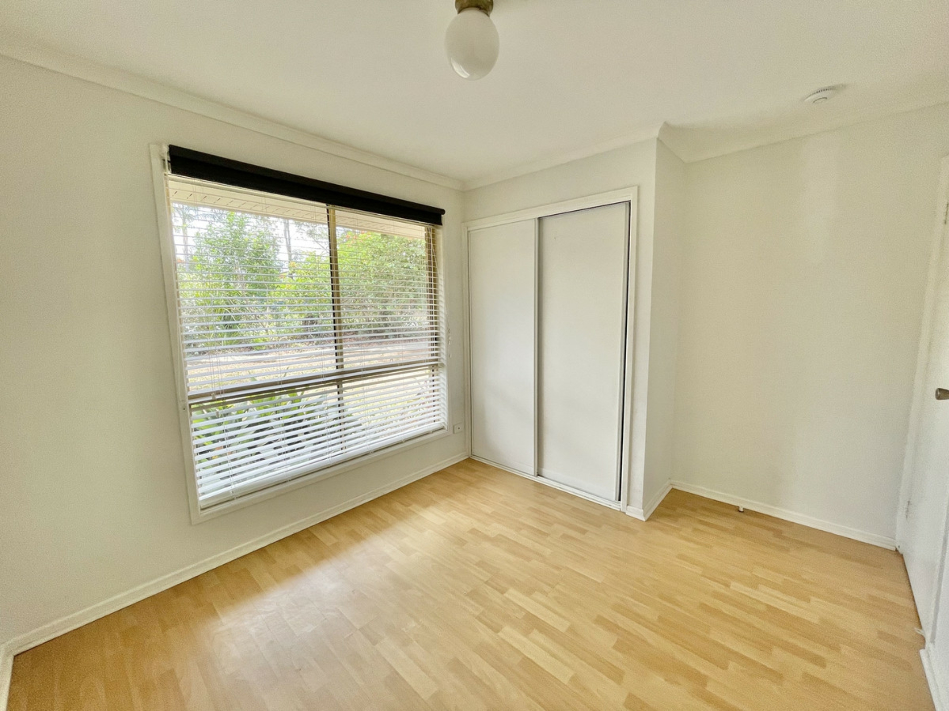 81 Ziegenfusz Road, THORNLANDS