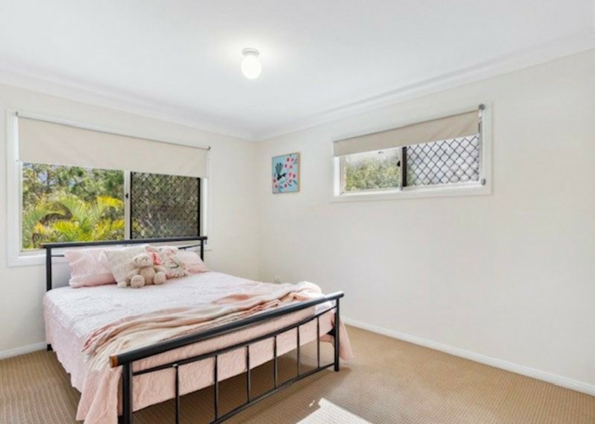 16 Hanover Drive, ALEXANDRA HILLS