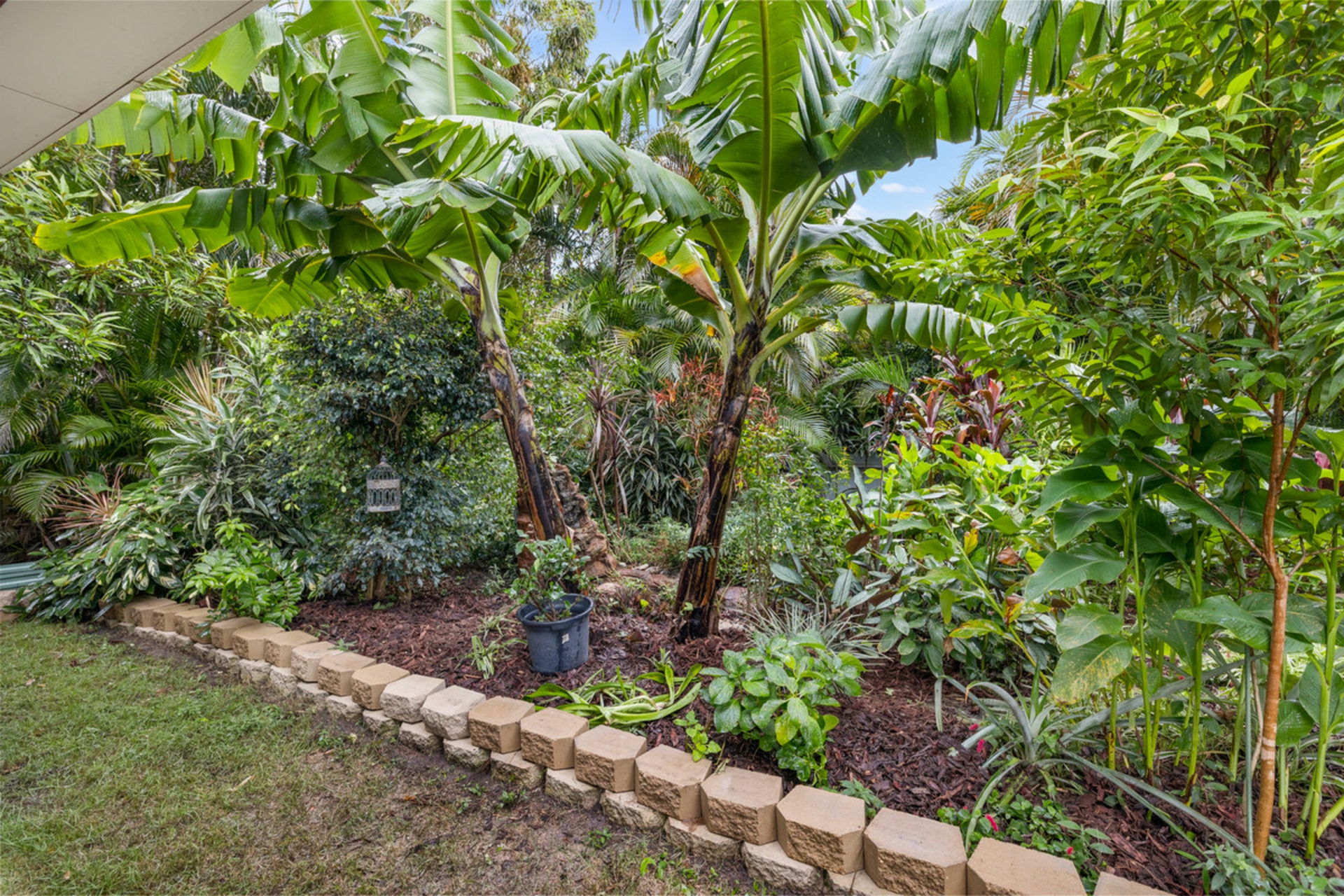 1 Coolong Street, CAPALABA