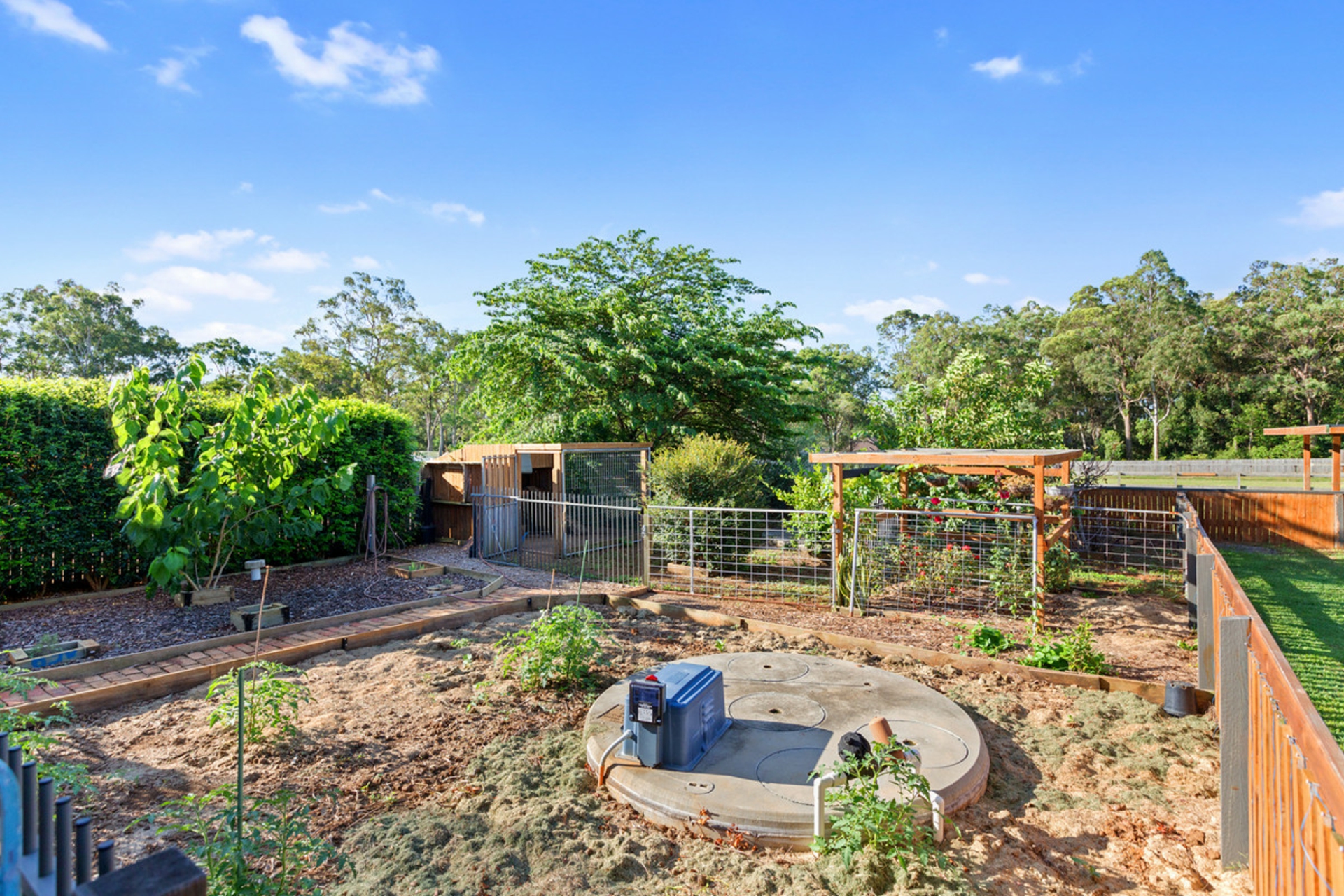 20 Camrose Street, CHANDLER