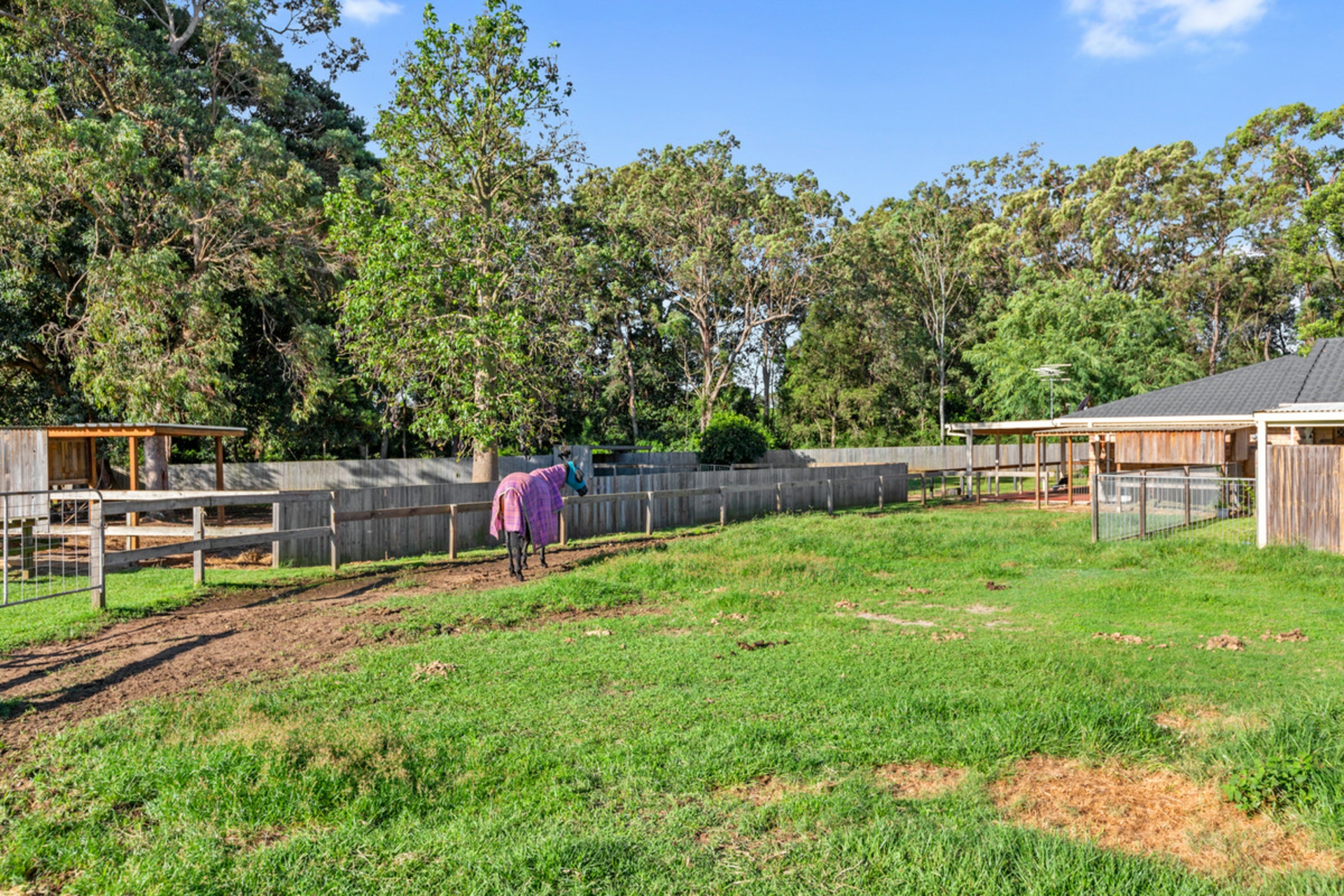 20 Camrose Street, CHANDLER