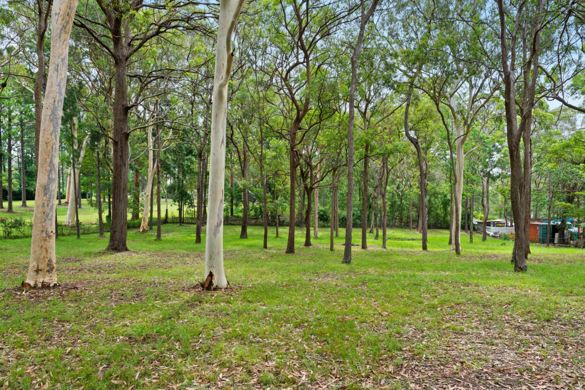 309 Mount Cotton Road, CAPALABA