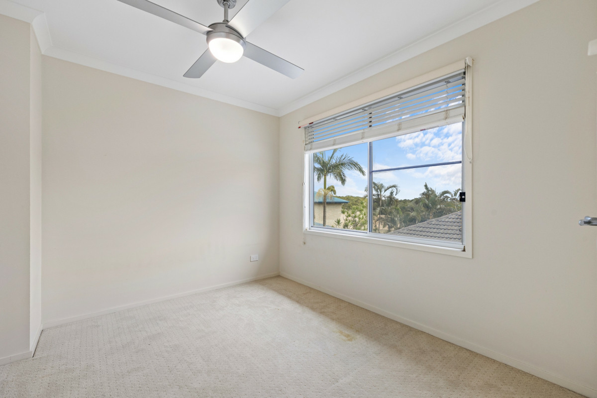 36 Ronnie Street — photo 19 of 24