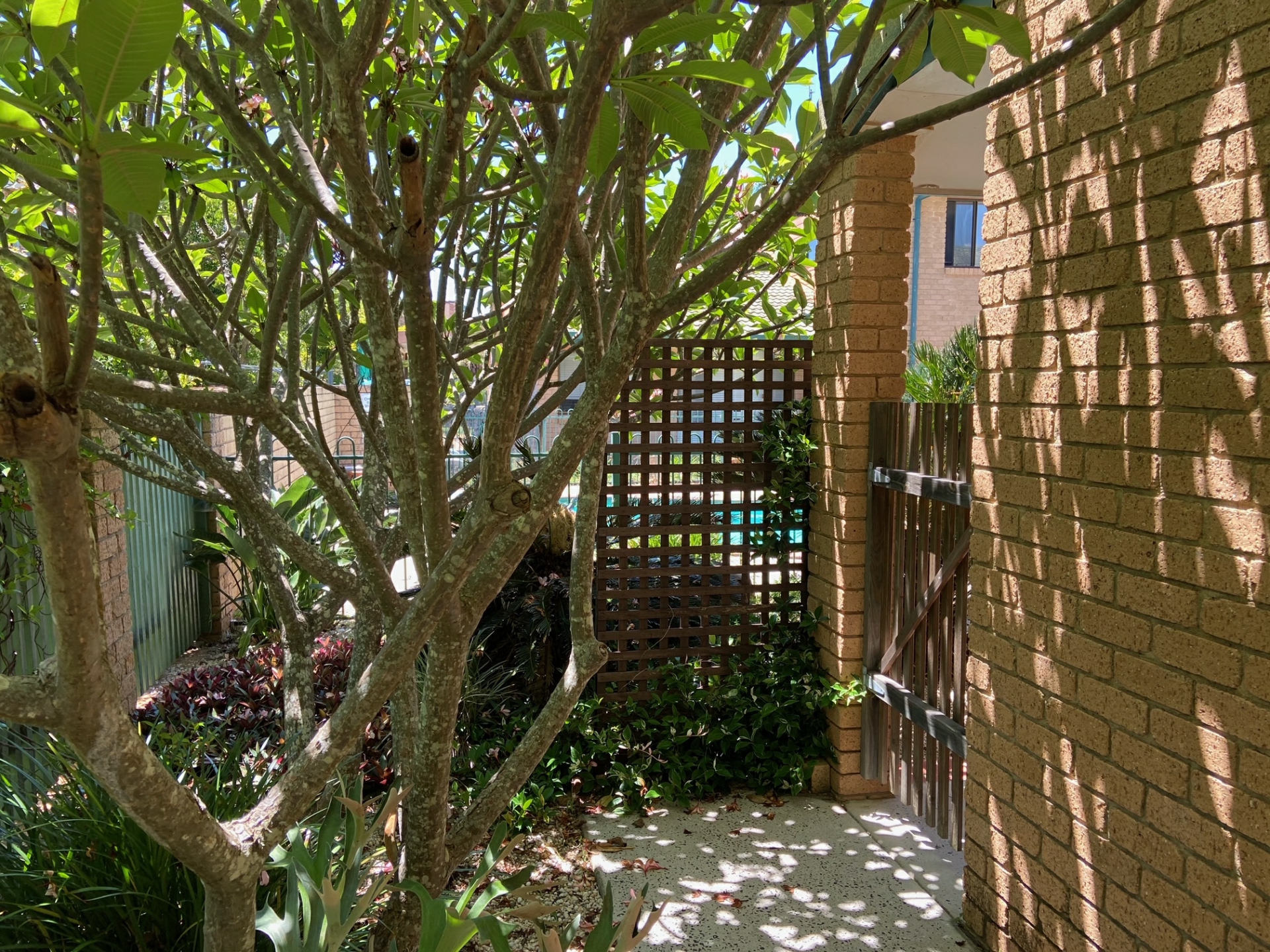 8/48-50 Cedar Crescent, EAST BALLINA
