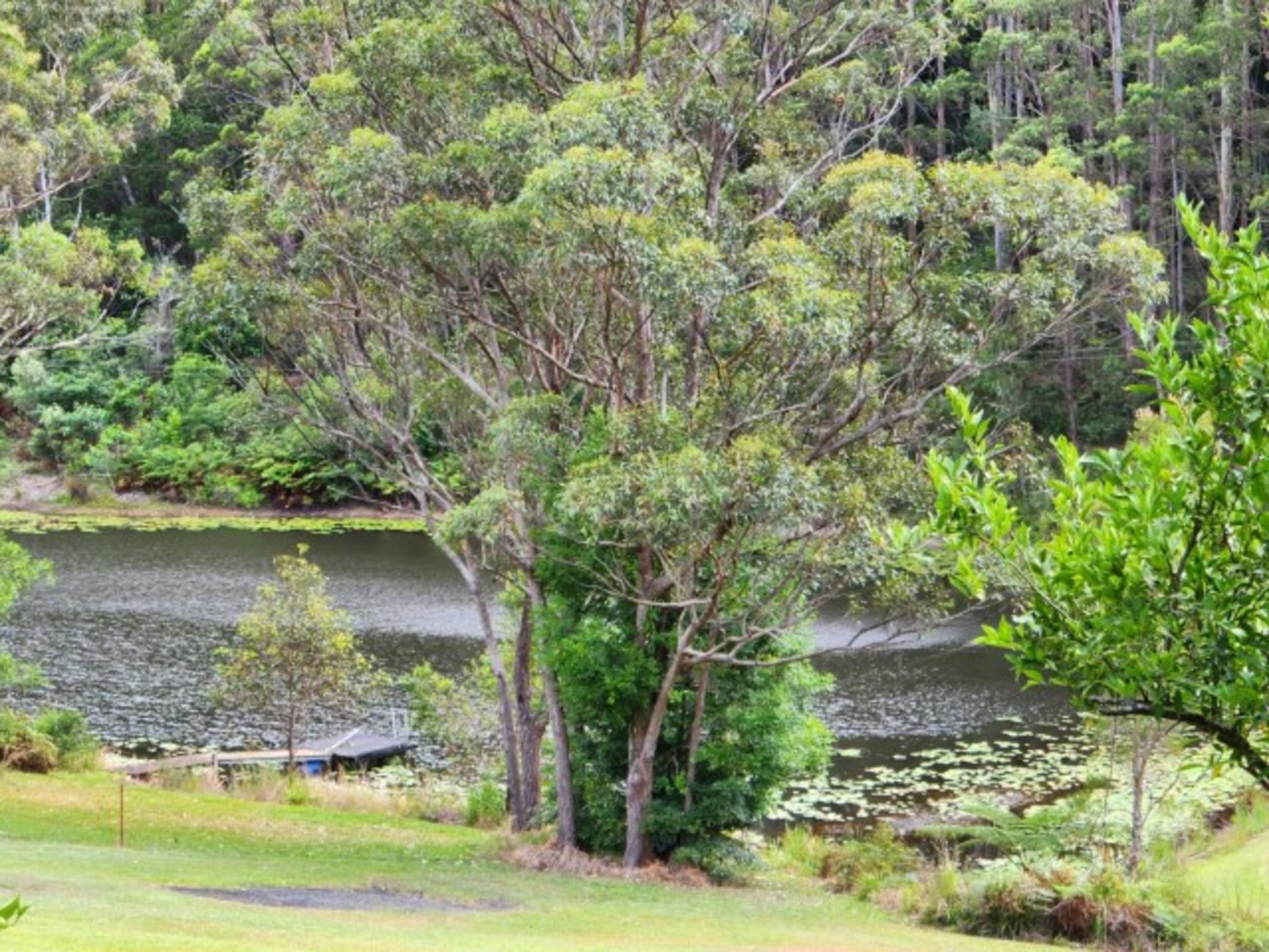 37a Platypus Drive, URALBA