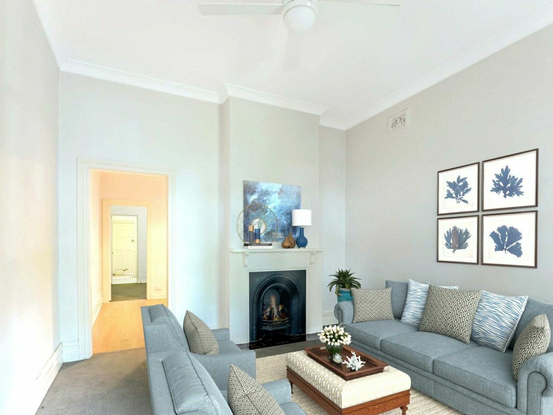12 Carrington Street, BALMAIN