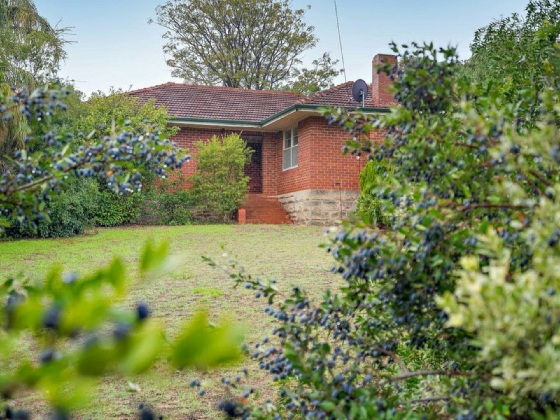 133 Medina Avenue — photo from LJ Hooker Kwinana