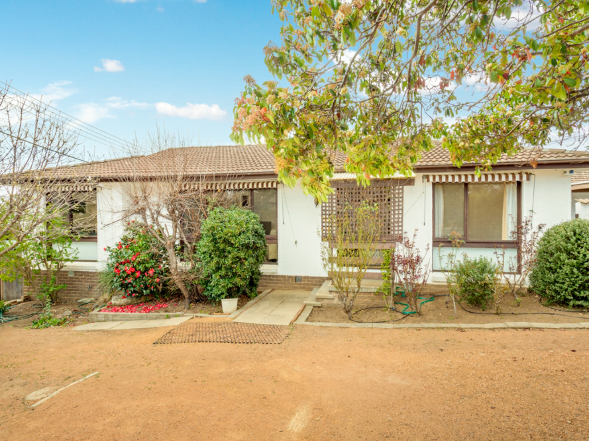 31 Coane Street, Holder
