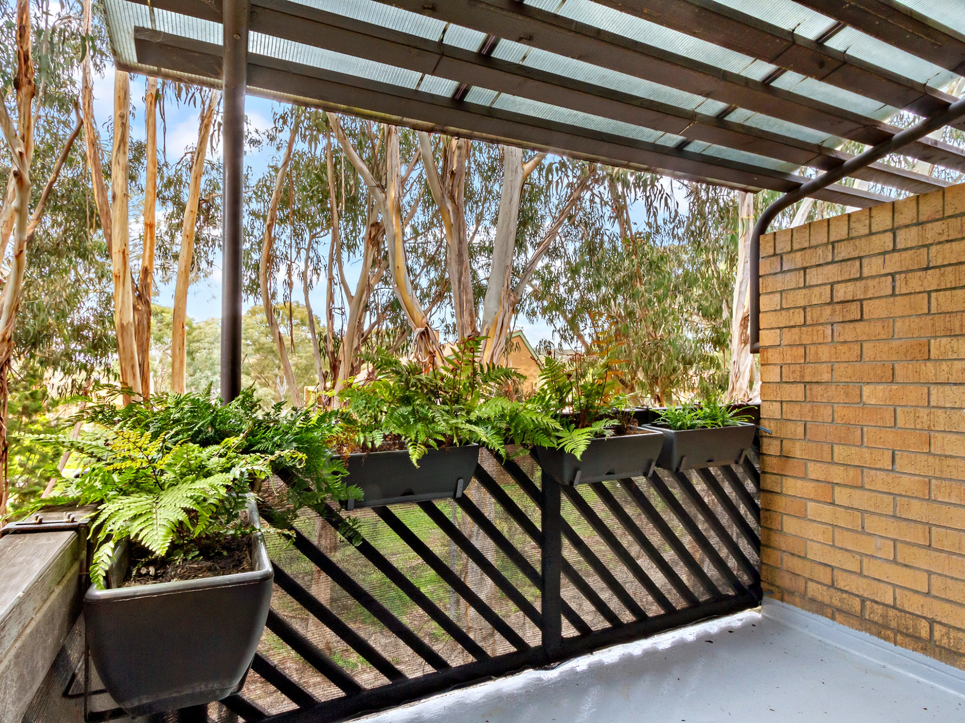 23/31 Disney Court, Belconnen